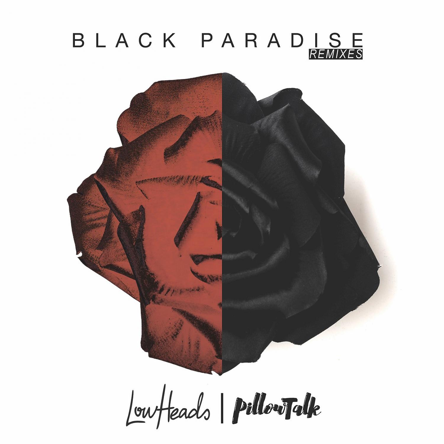 Постер альбома Black Paradise (Remixes)