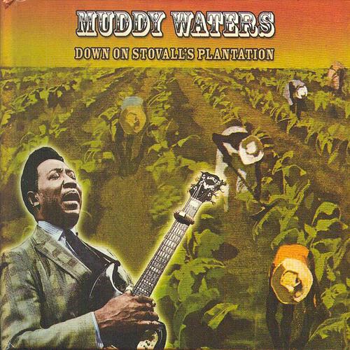 Muddy Waters - Burr Clover Farm Blues