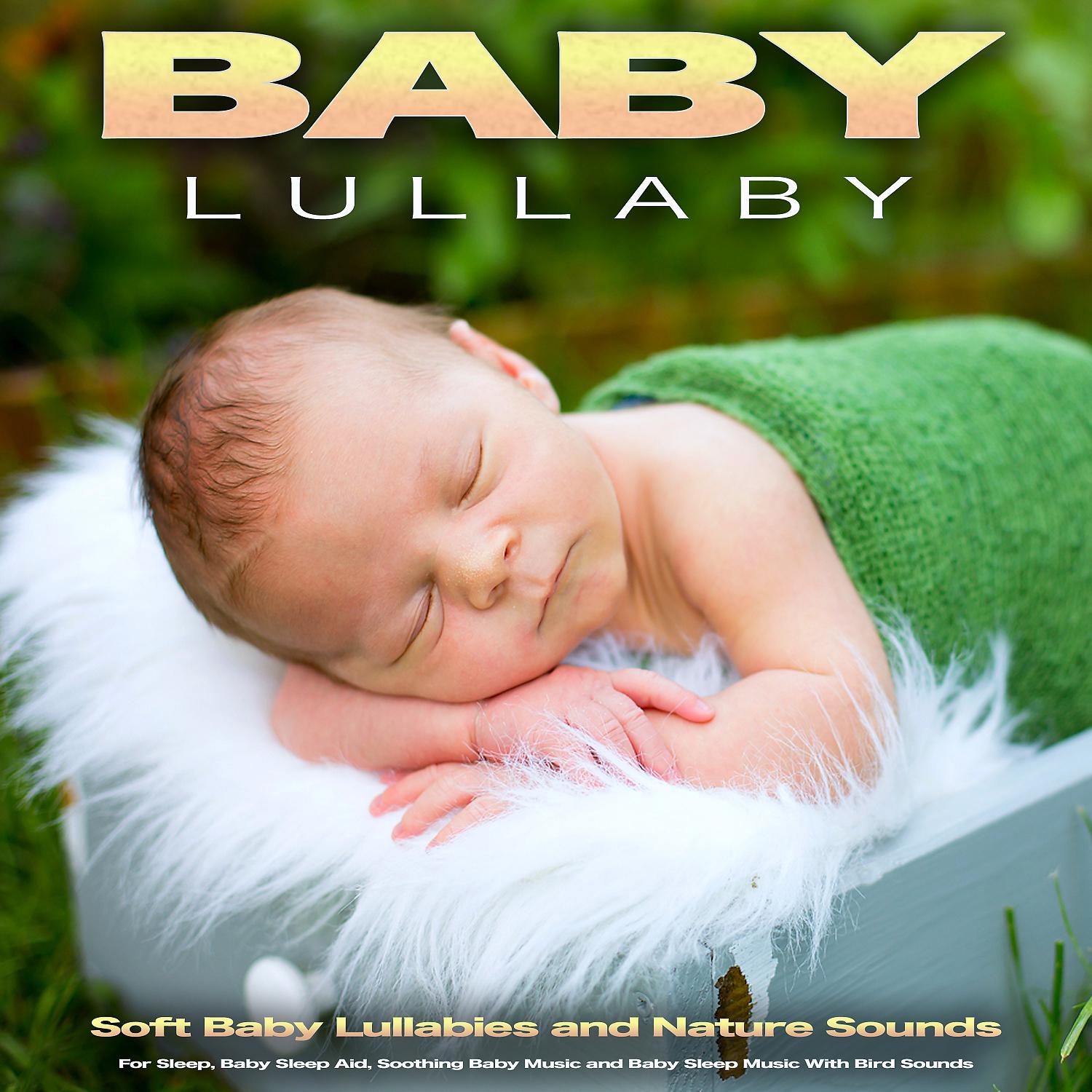 Постер альбома Baby Lullaby: Soft Baby Lullabies and Nature Sounds For Sleep, Baby Sleep Aid, Soothing Baby Music and Baby Sleep Music With Bird Sounds