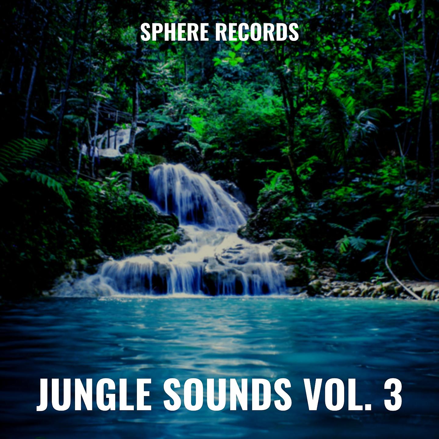 Постер альбома Jungle Sounds Vol. 3