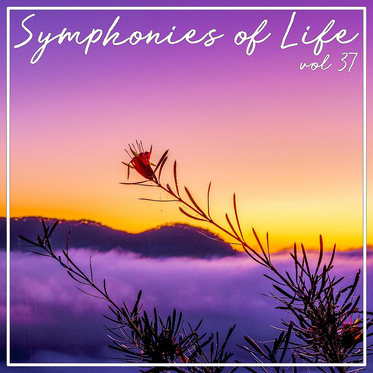 Постер альбома Symphonies of Life, Vol. 37 - Gluck: Orfeo Ed Euridice