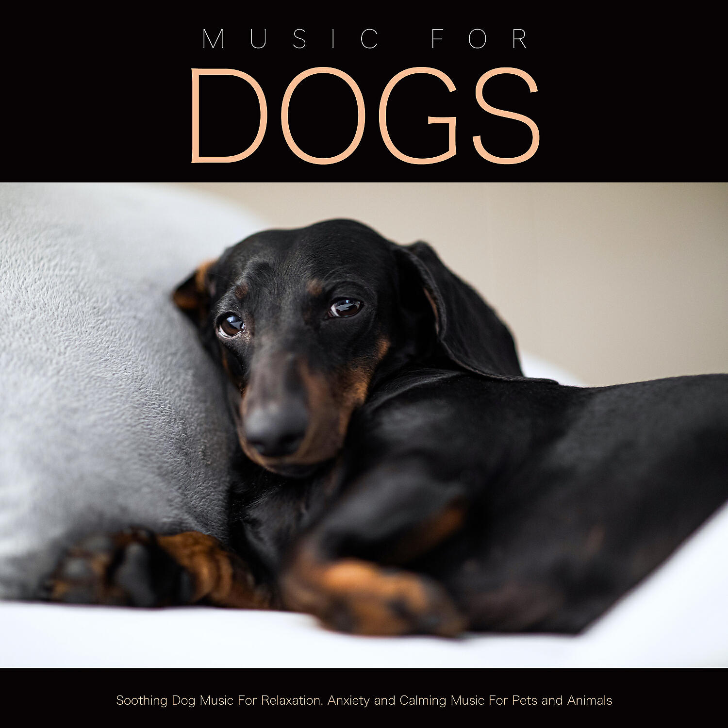 Dog Music - Music for Pets and Animals