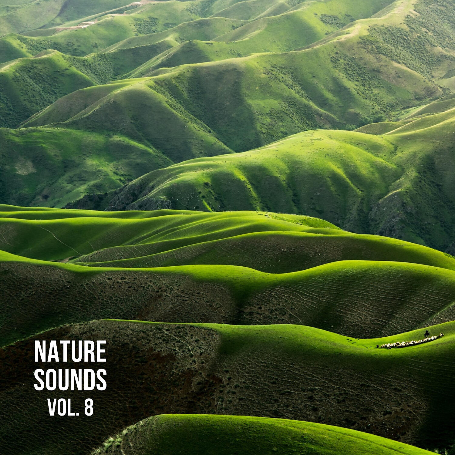 Nature Sounds - Organic Nature Sounds, Pt. 3