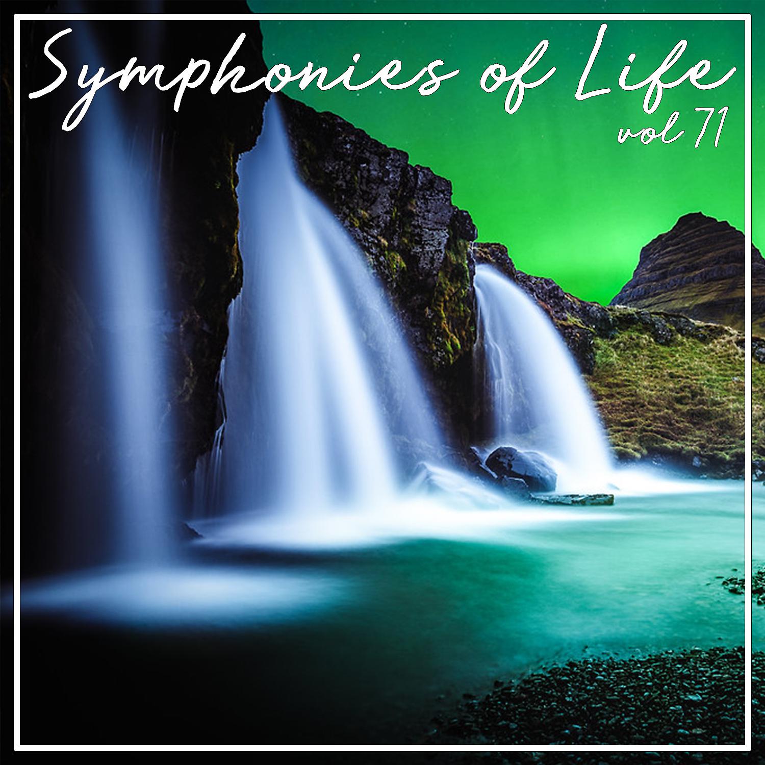 Постер альбома Symphonies of Life, Vol. 71 - Shostakovisch: Das Neue Babylon/Funf Tage und funf Nachte