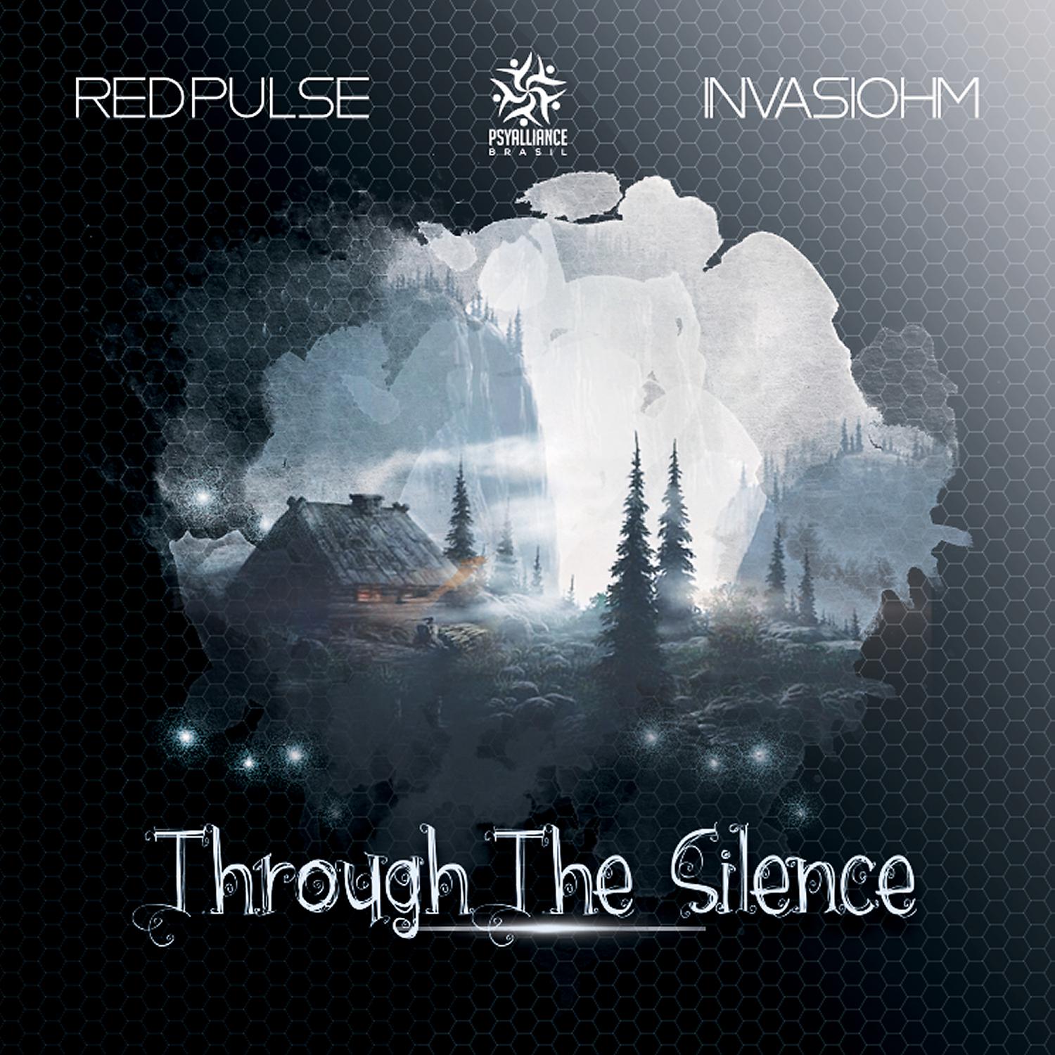 Постер альбома Through The Silence