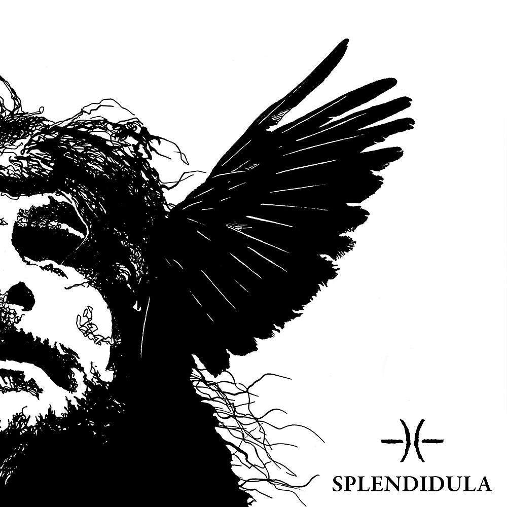 Splendidula - Incubus