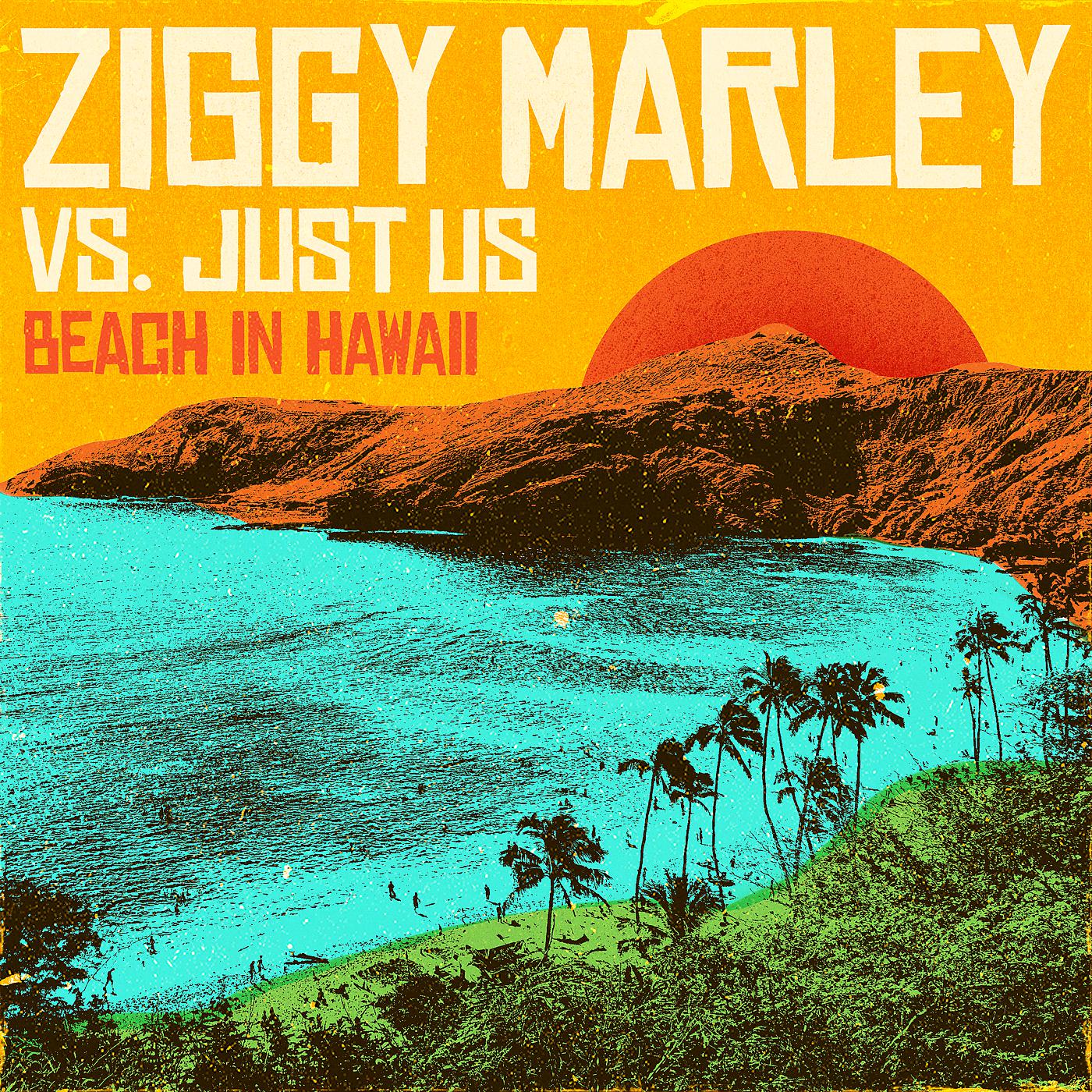 Постер альбома Beach In Hawaii