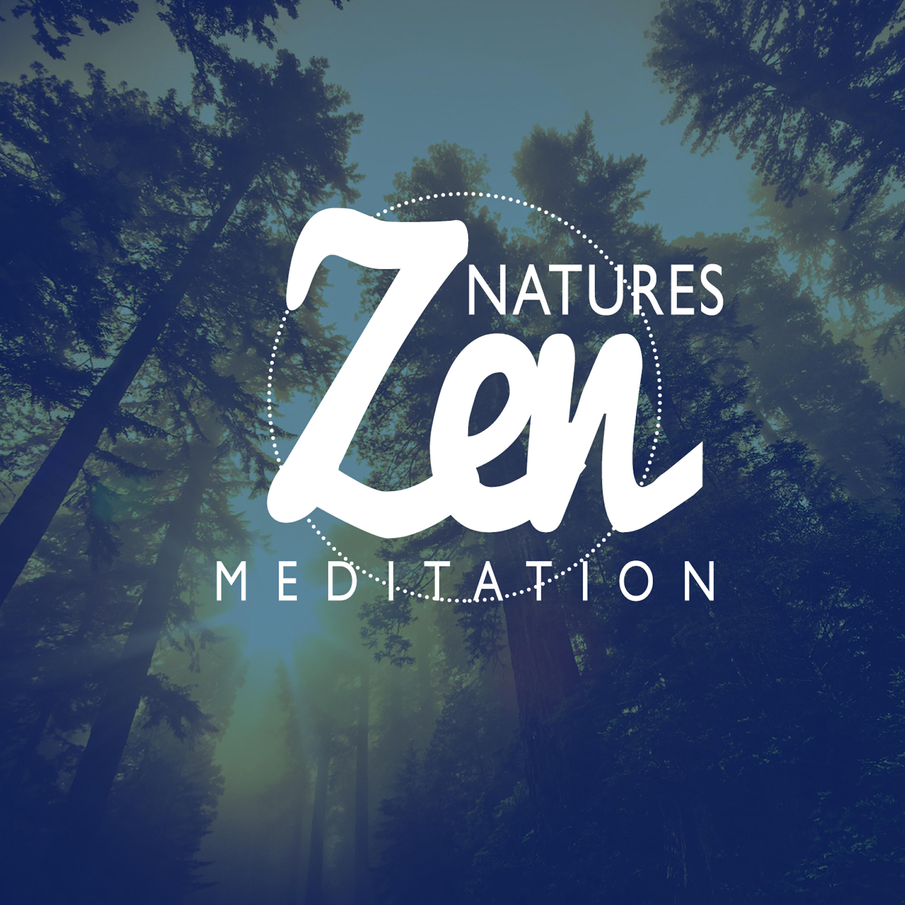 Zen Natural Meditation - Calm Flow