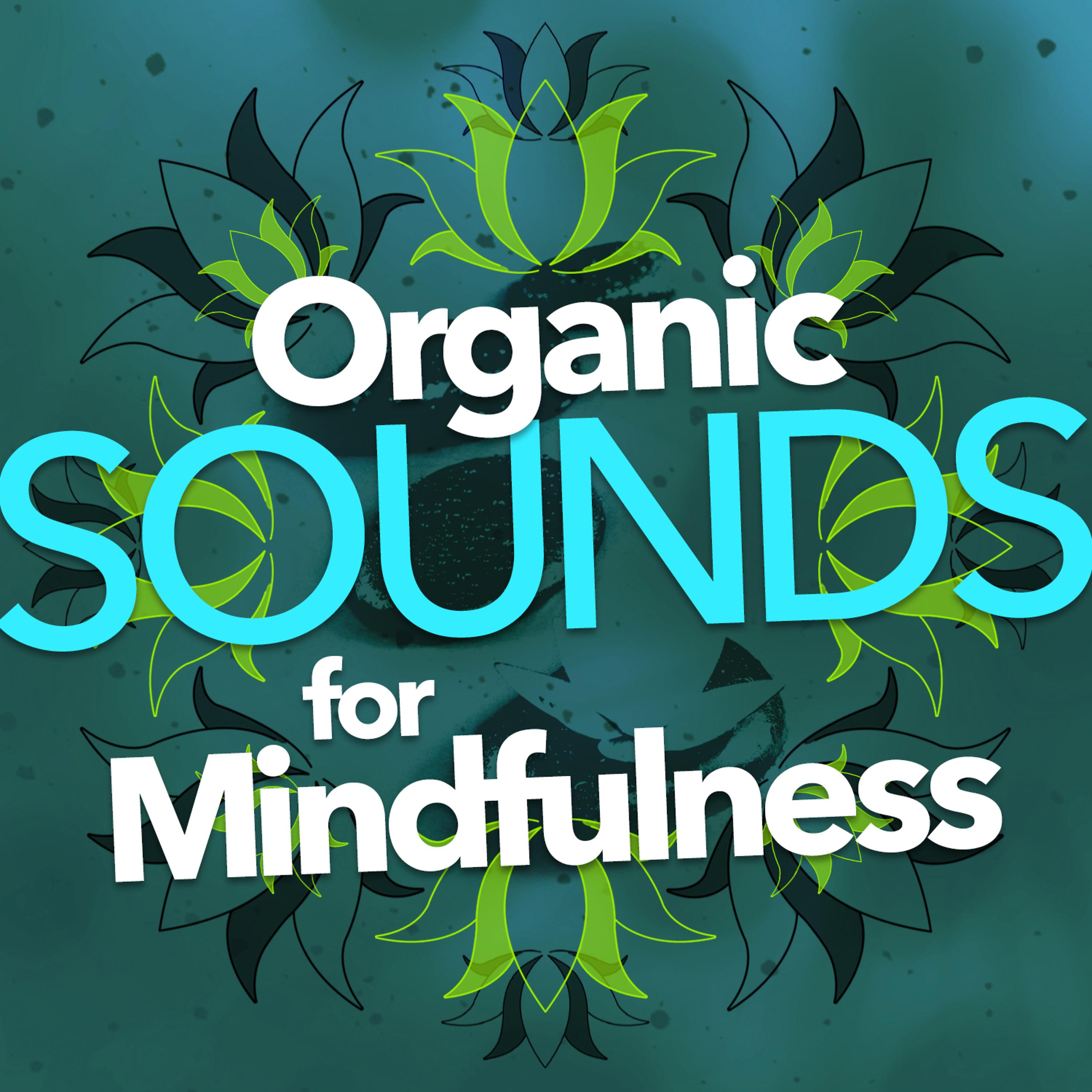 Постер альбома Organic Sounds for Mindfulness