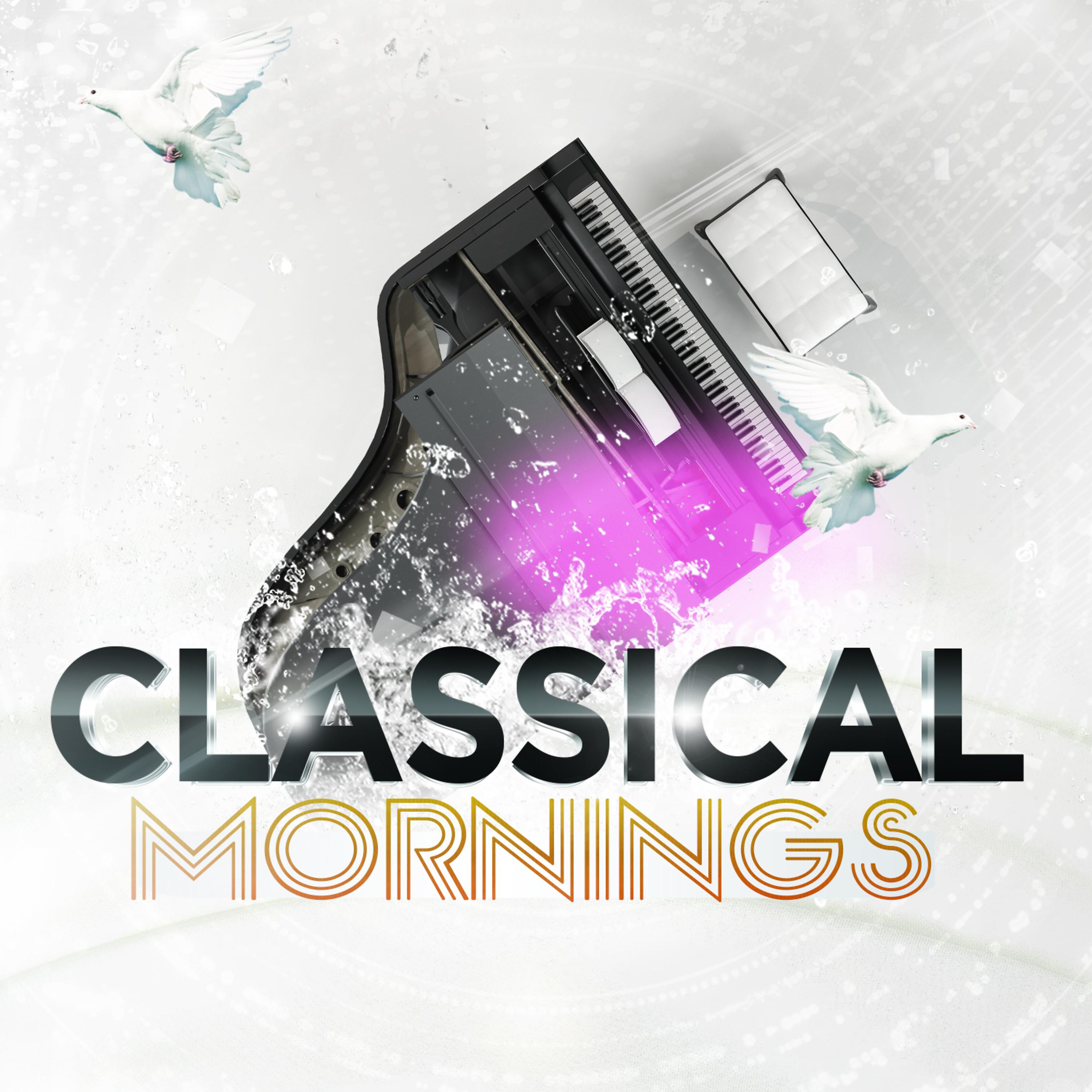 Постер альбома Classical Mornings