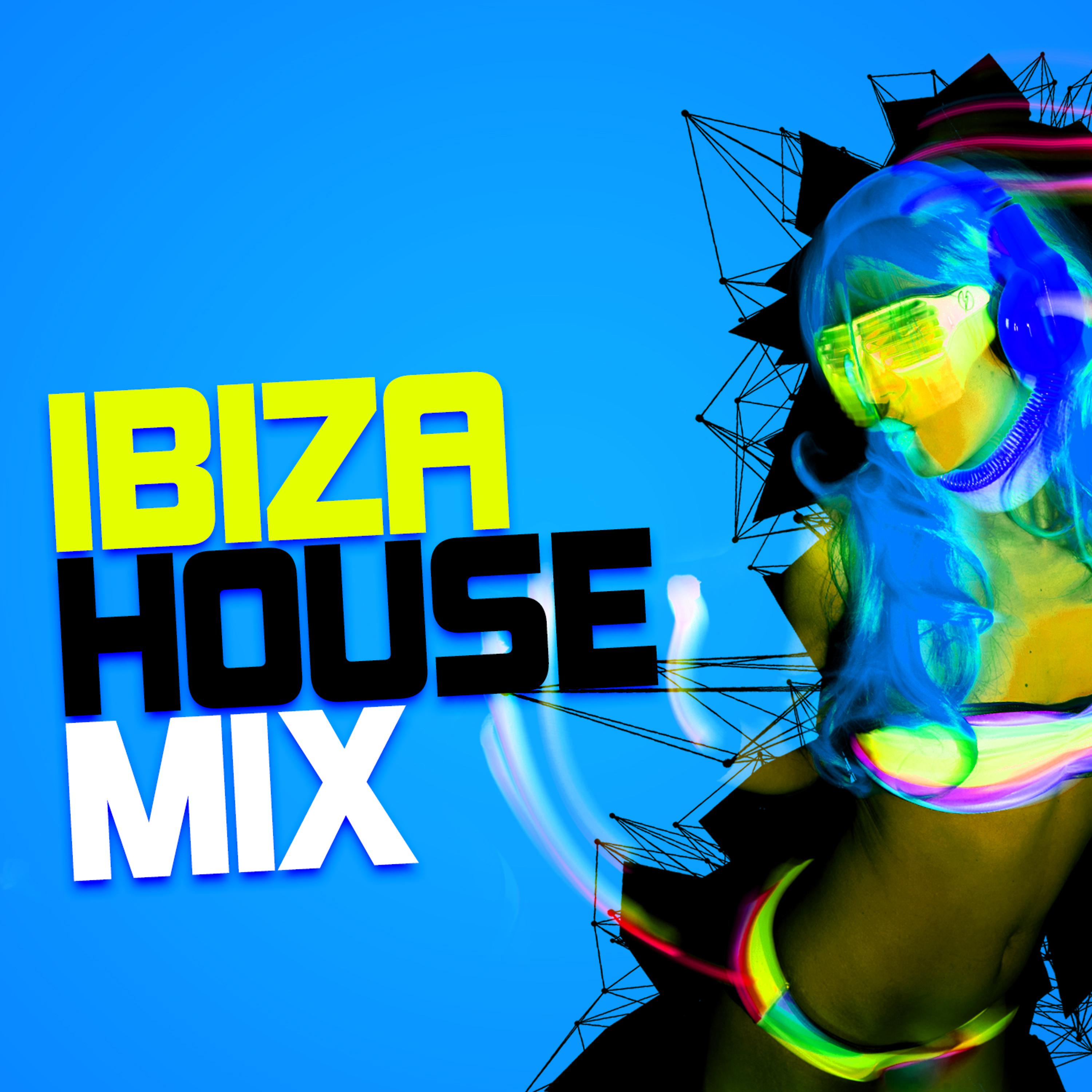 Постер альбома Ibiza House Mix