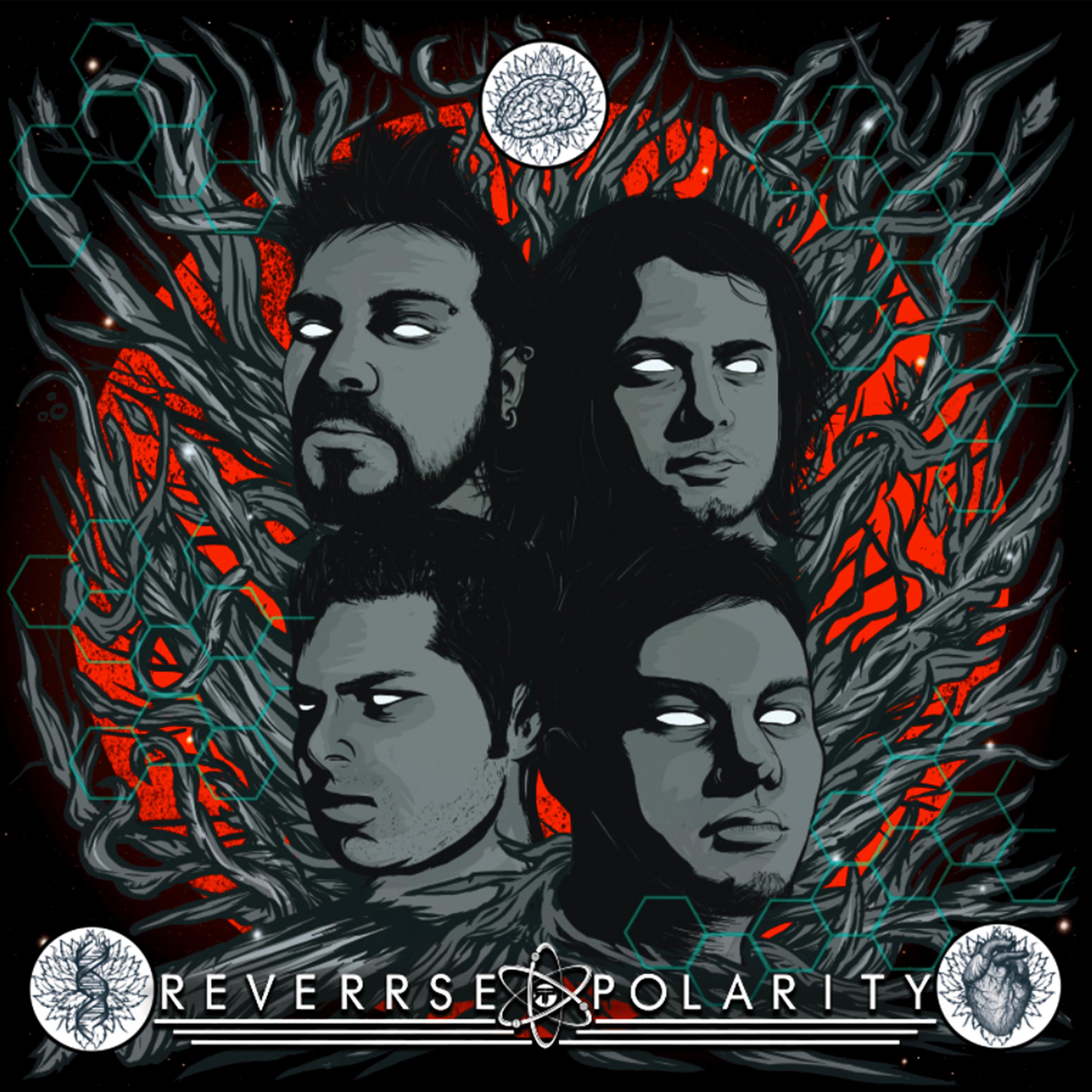 Постер альбома Reverrse Polarity