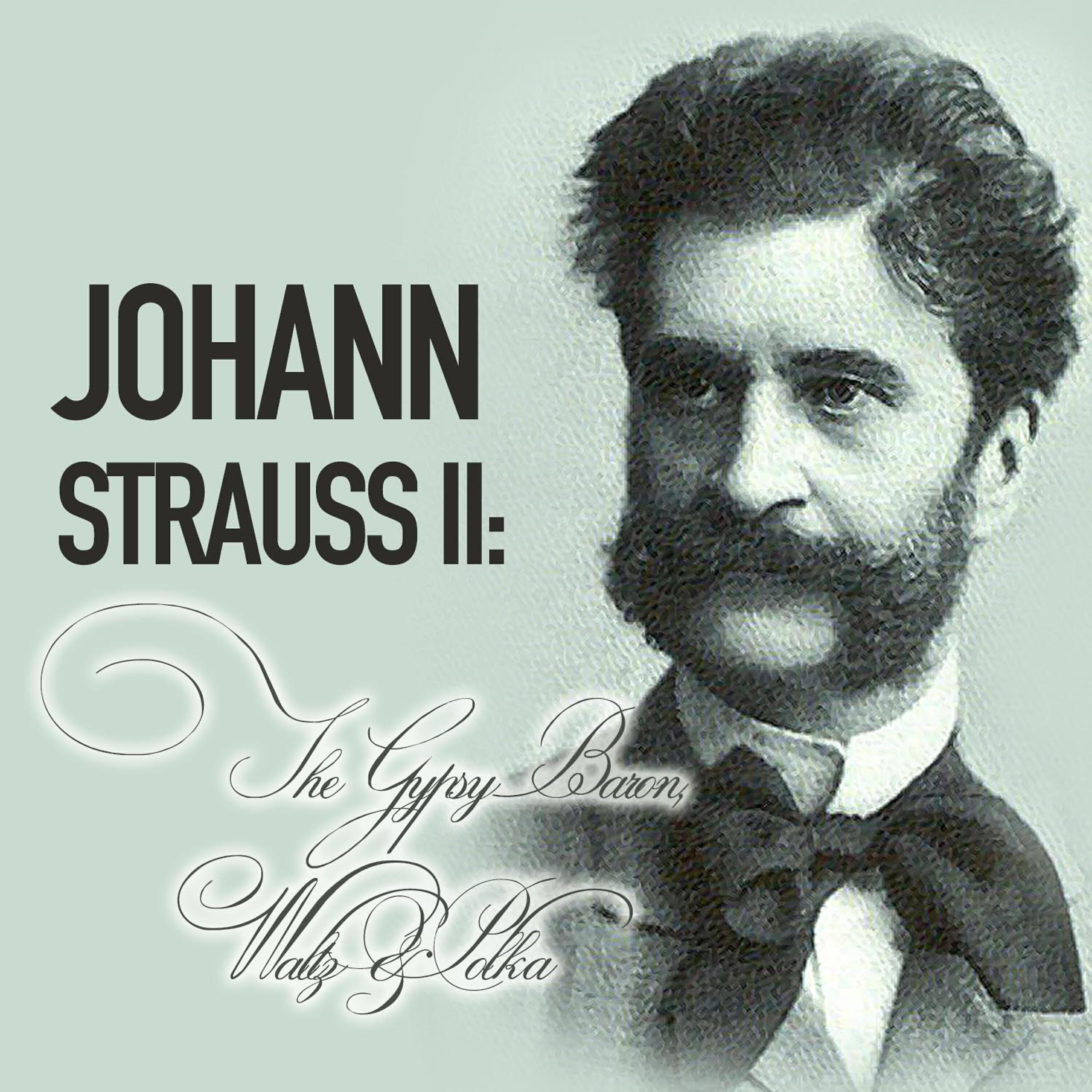 Munich Symphony Orchestra - Kriegsabenteuer, polka-schnell, op. 419