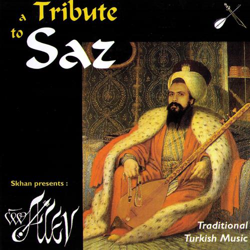 Постер альбома A tribute to saz