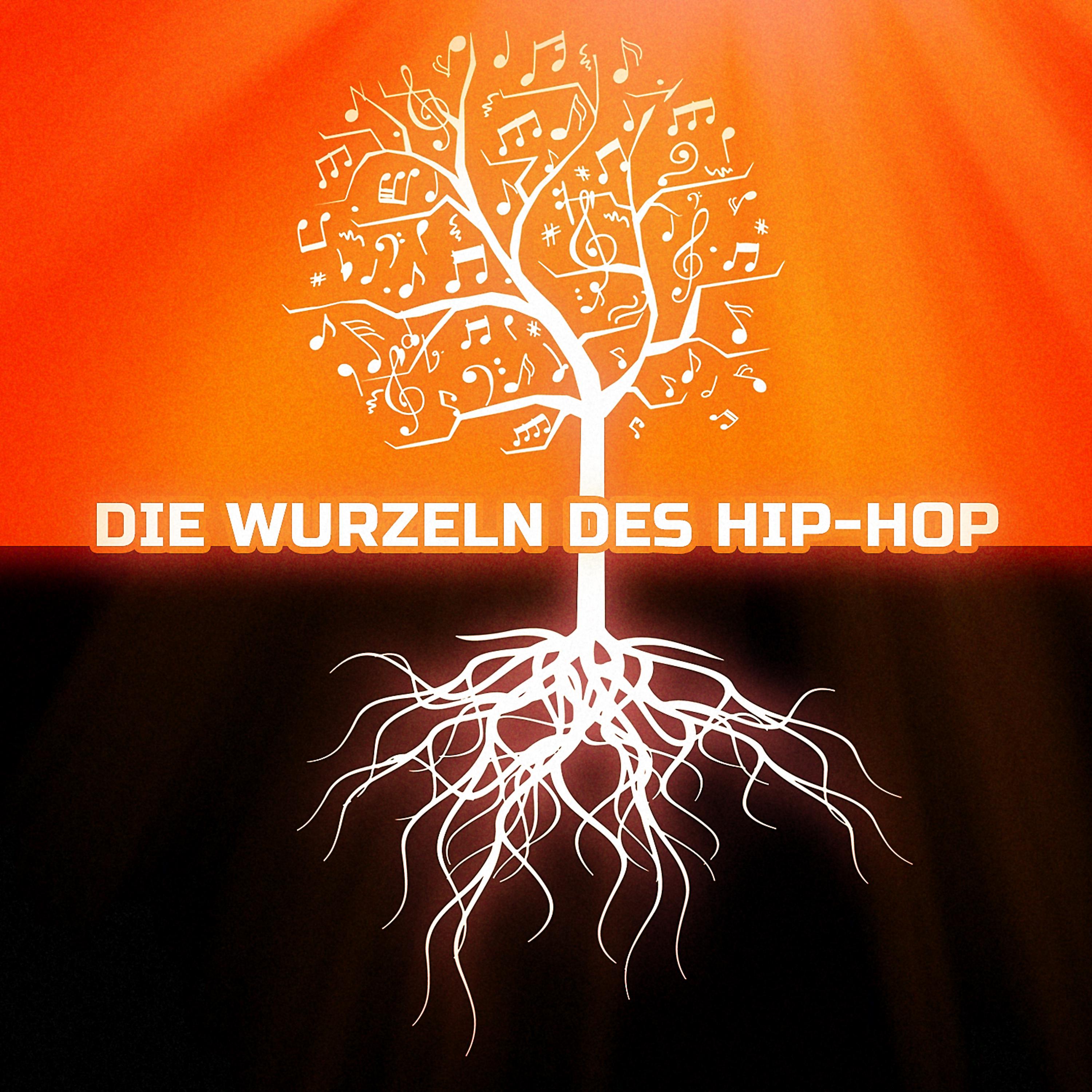 Постер альбома Die Wurzeln des Hip-Hop