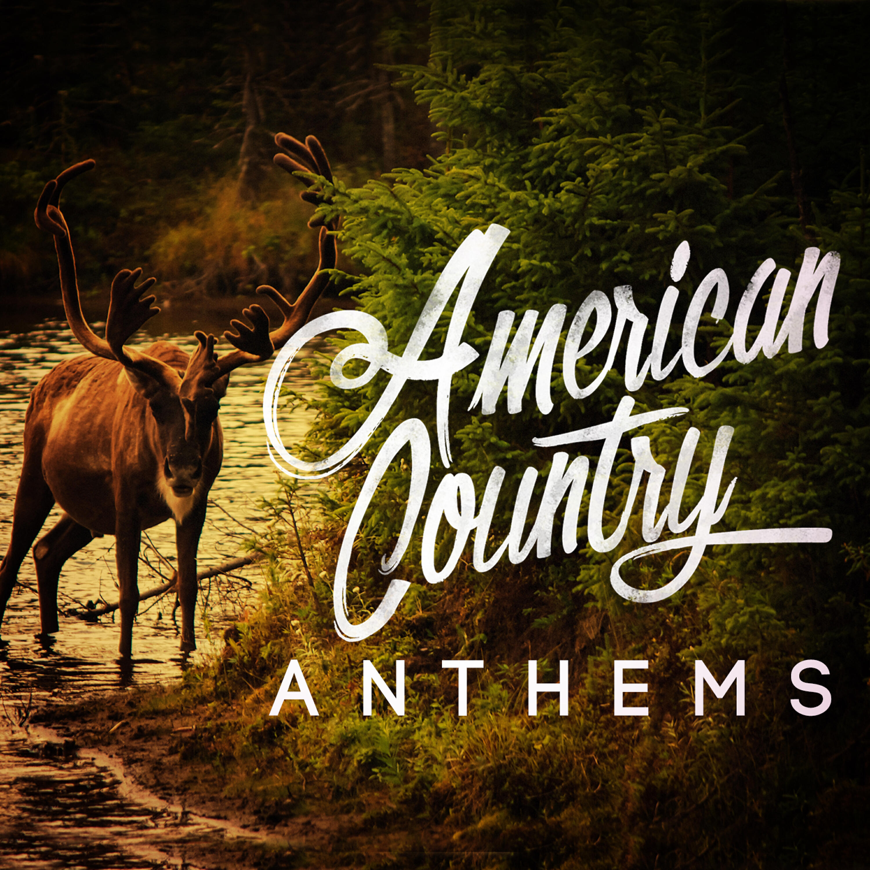 Country Rock Party - Somethin' 'Bout a Truck