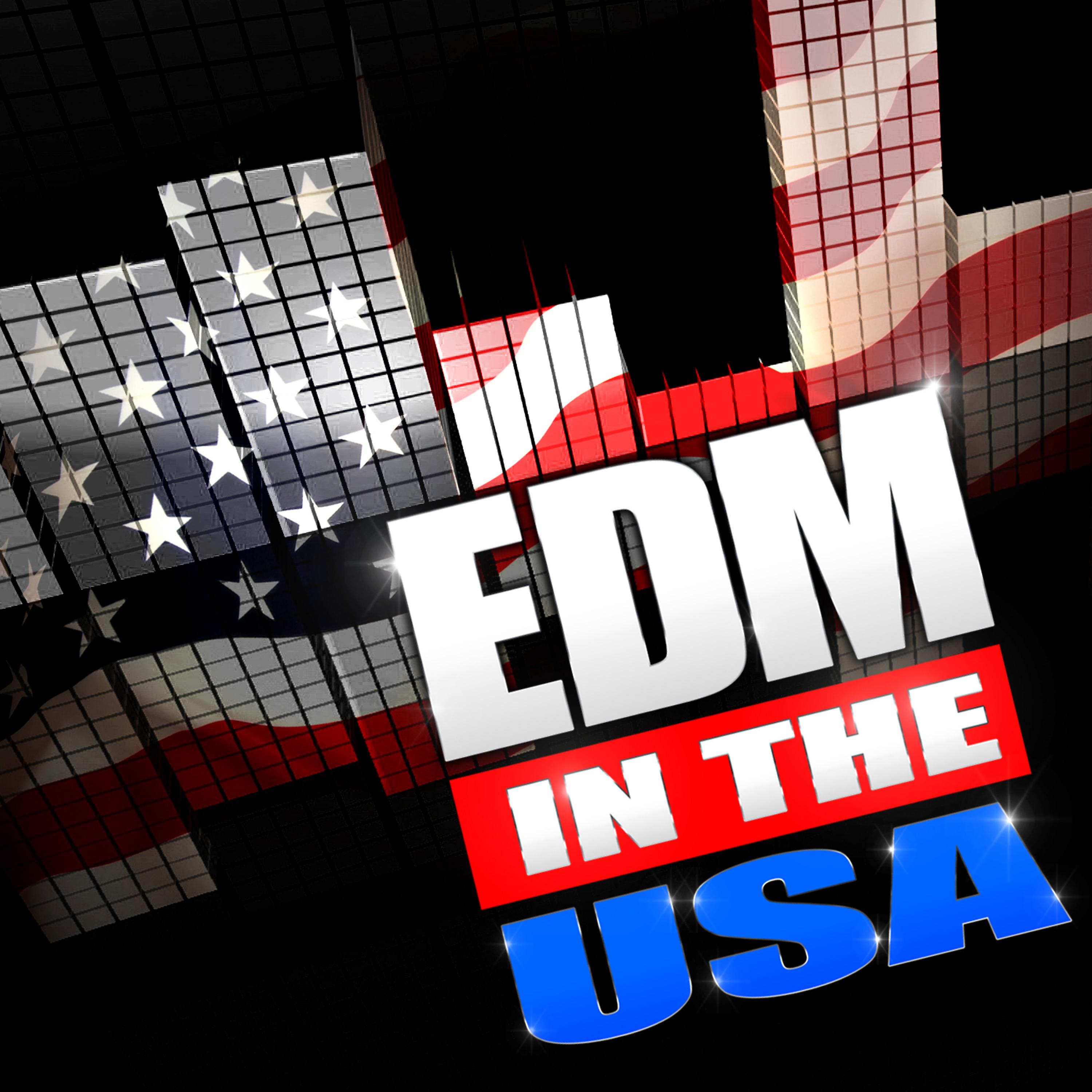 Постер альбома EDM in the USA
