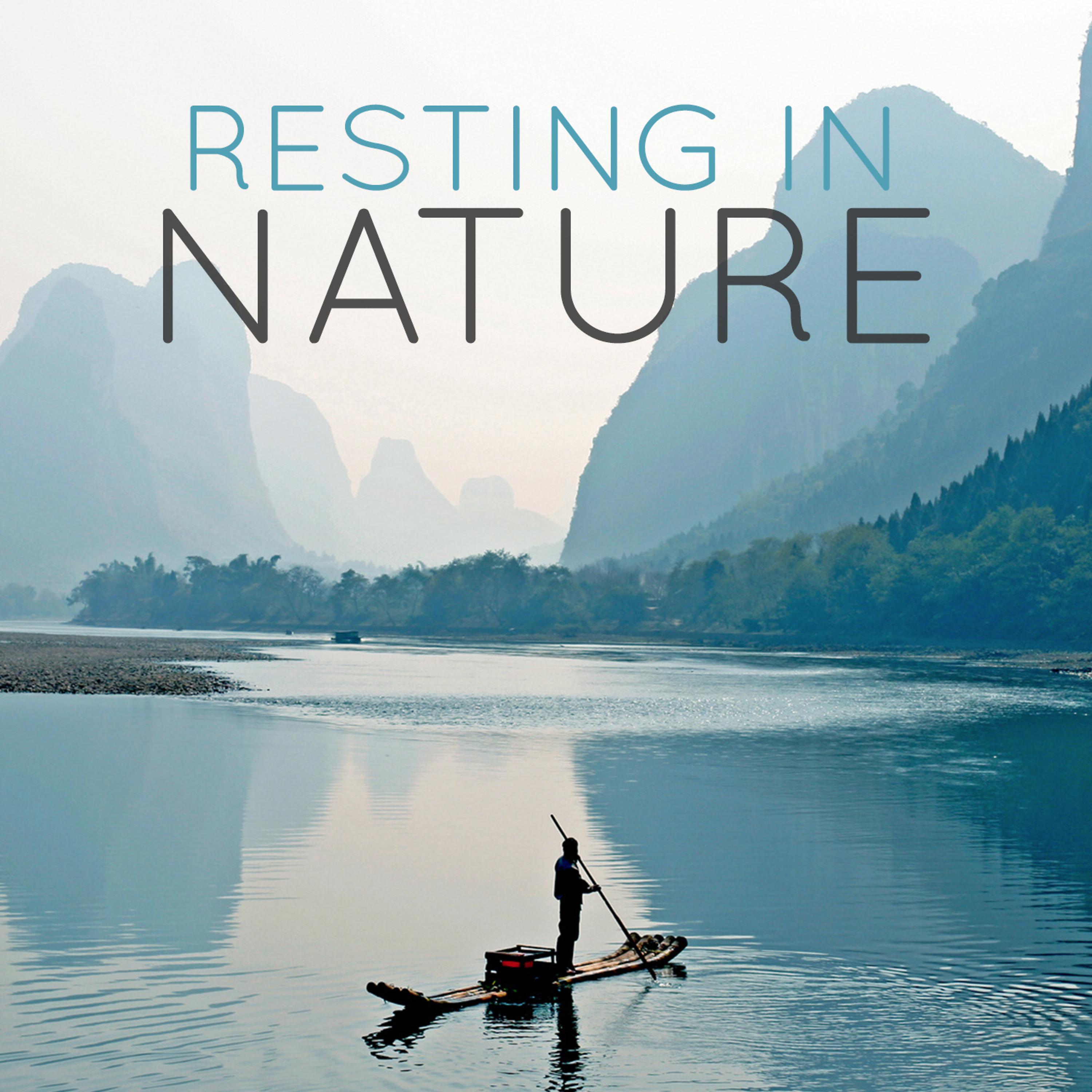 Постер альбома Resting in Nature