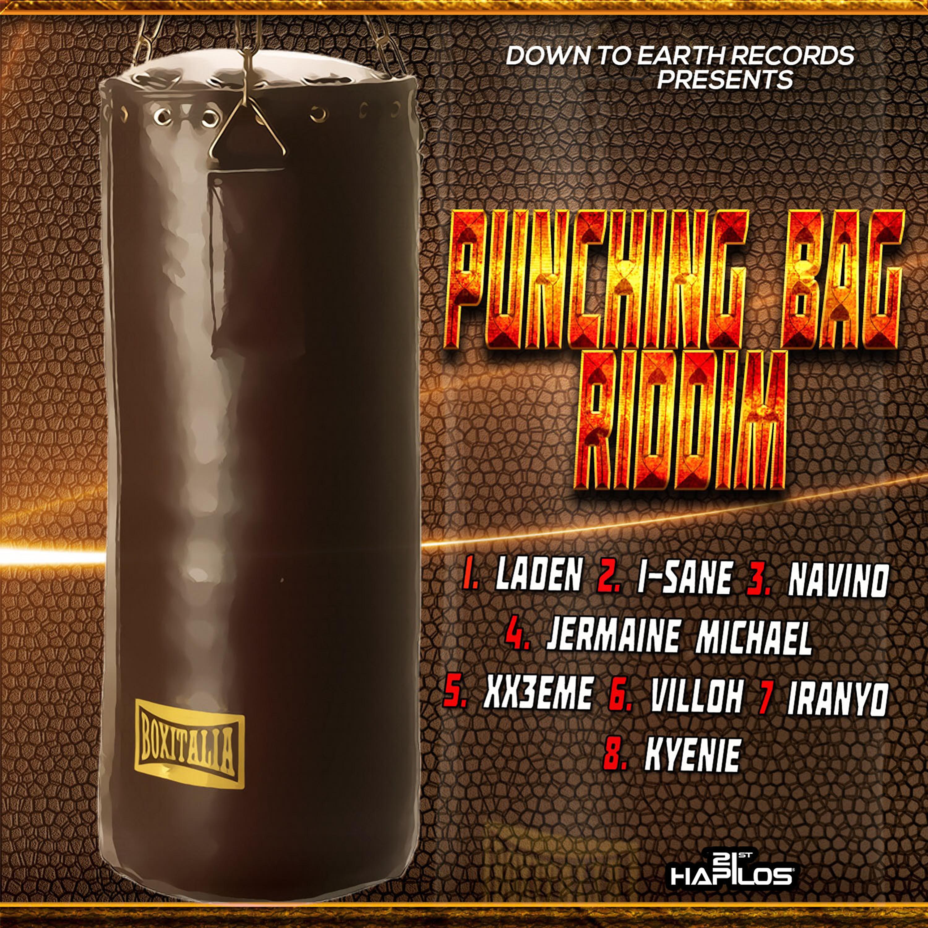 Постер альбома Punching Bag Riddim
