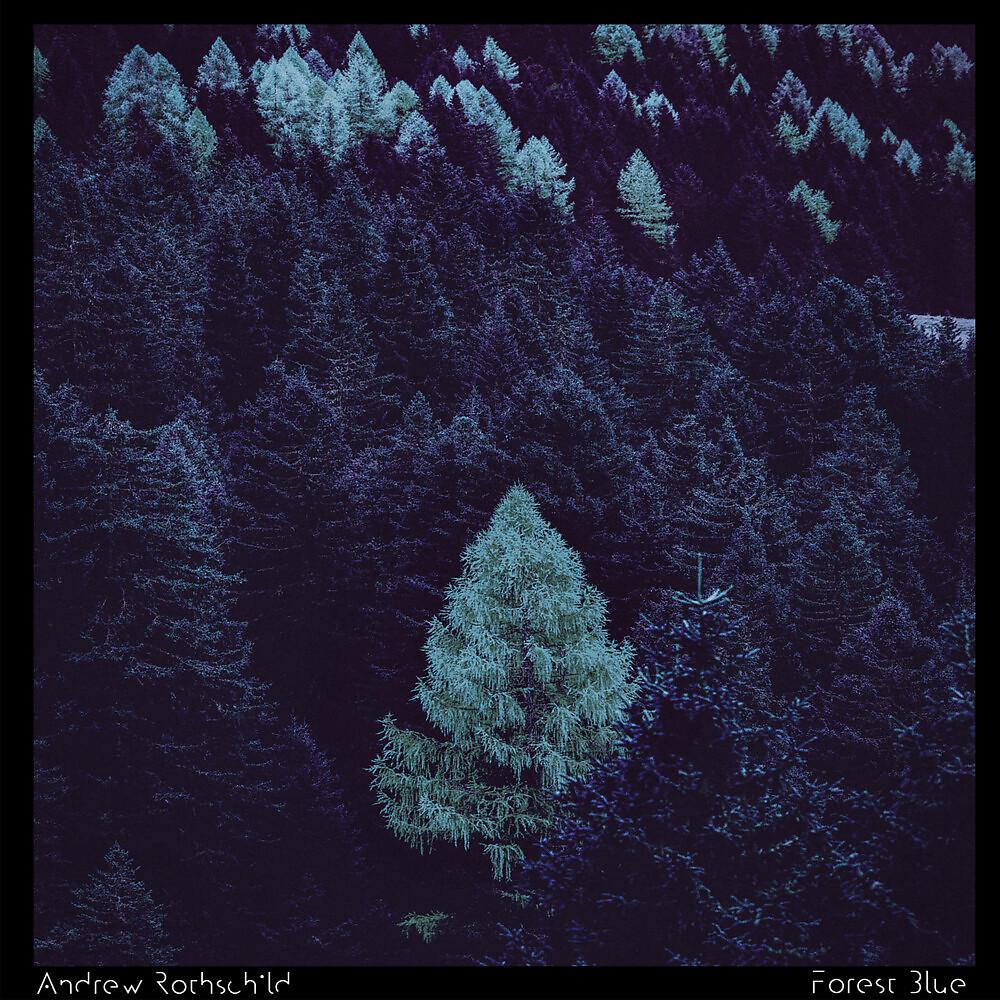 Постер альбома Forest Blue