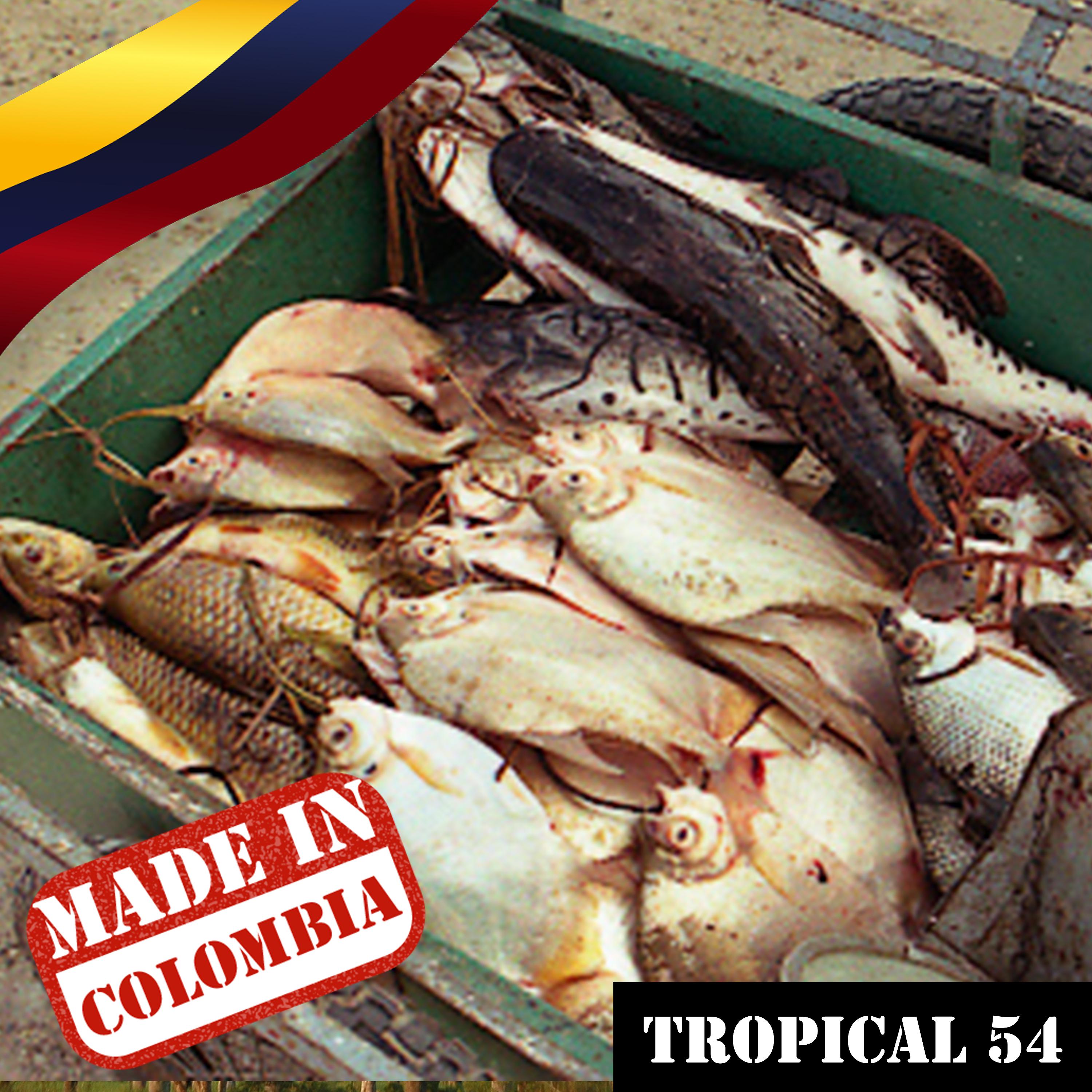 Постер альбома Made In Colombia: Tropical, Vol. 54