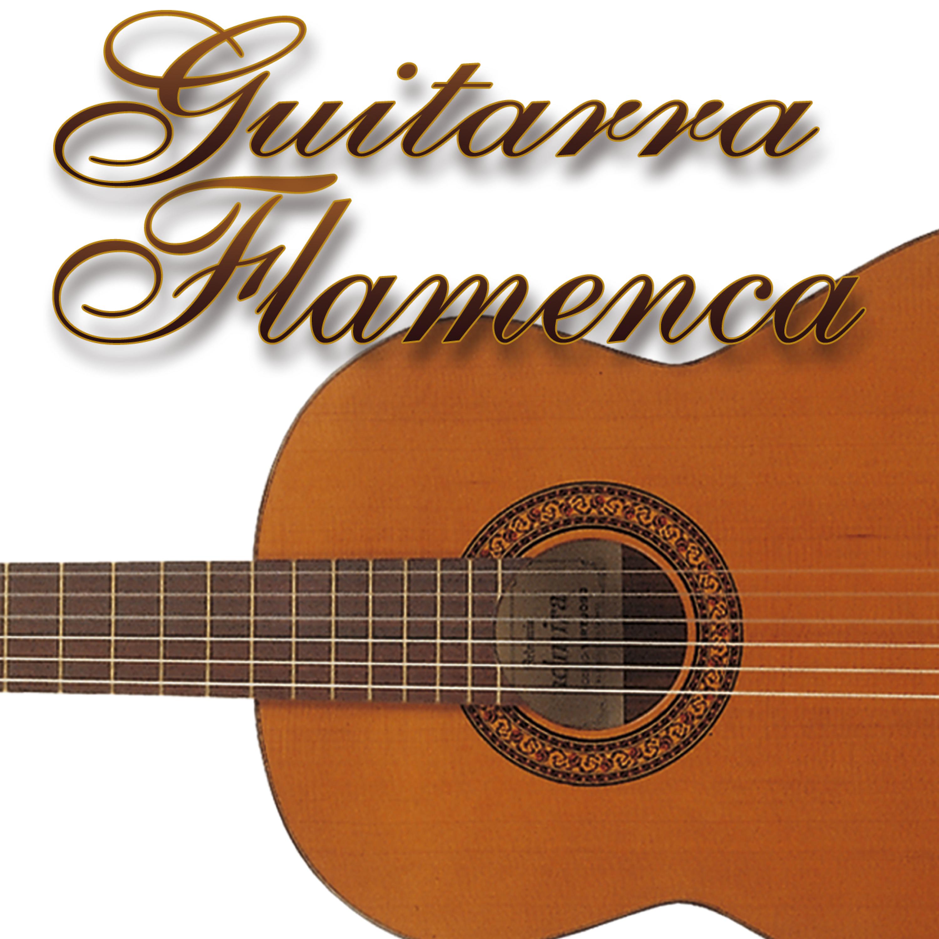 Постер альбома Guitarra flamenca Vol.2