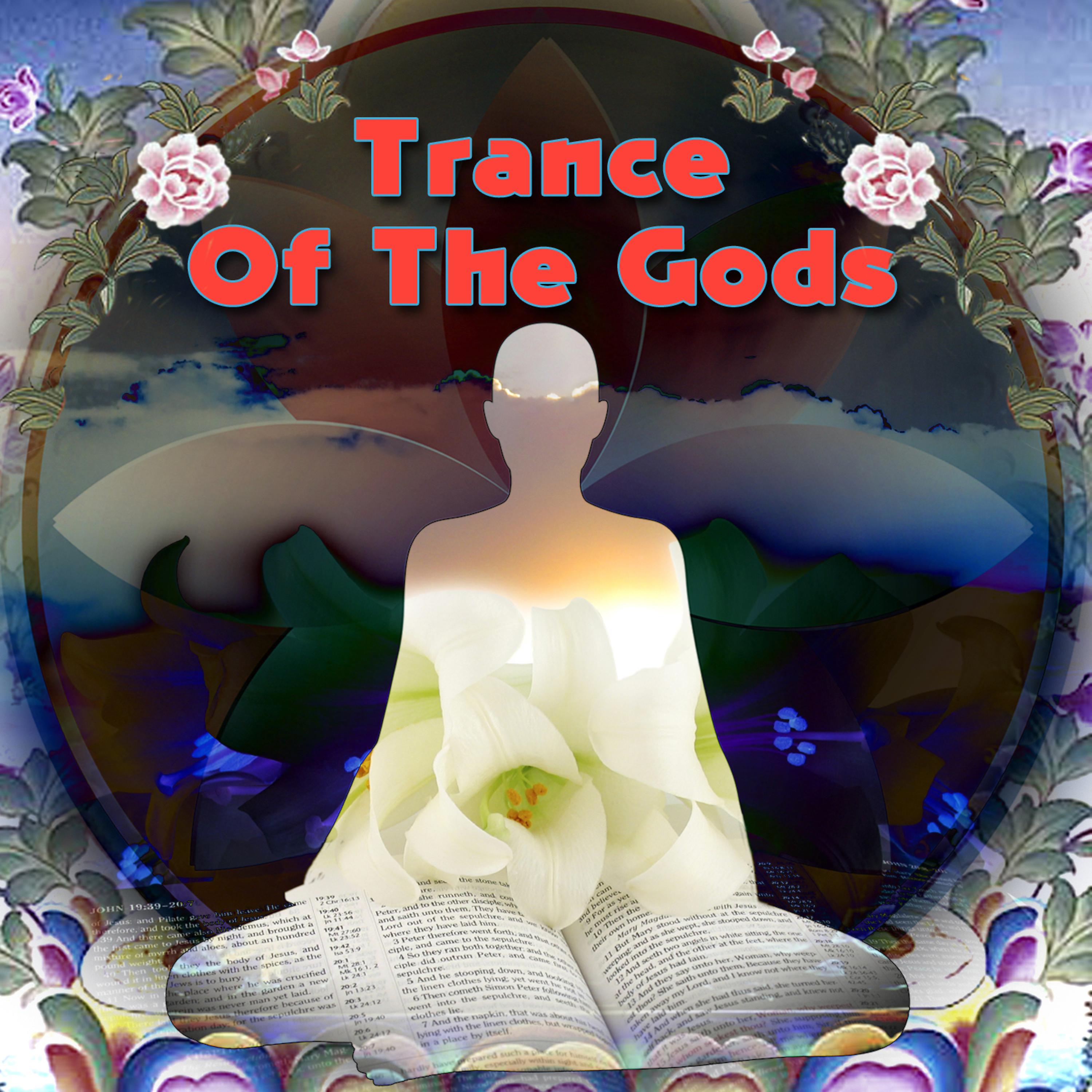 Постер альбома Trance Of The Gods
