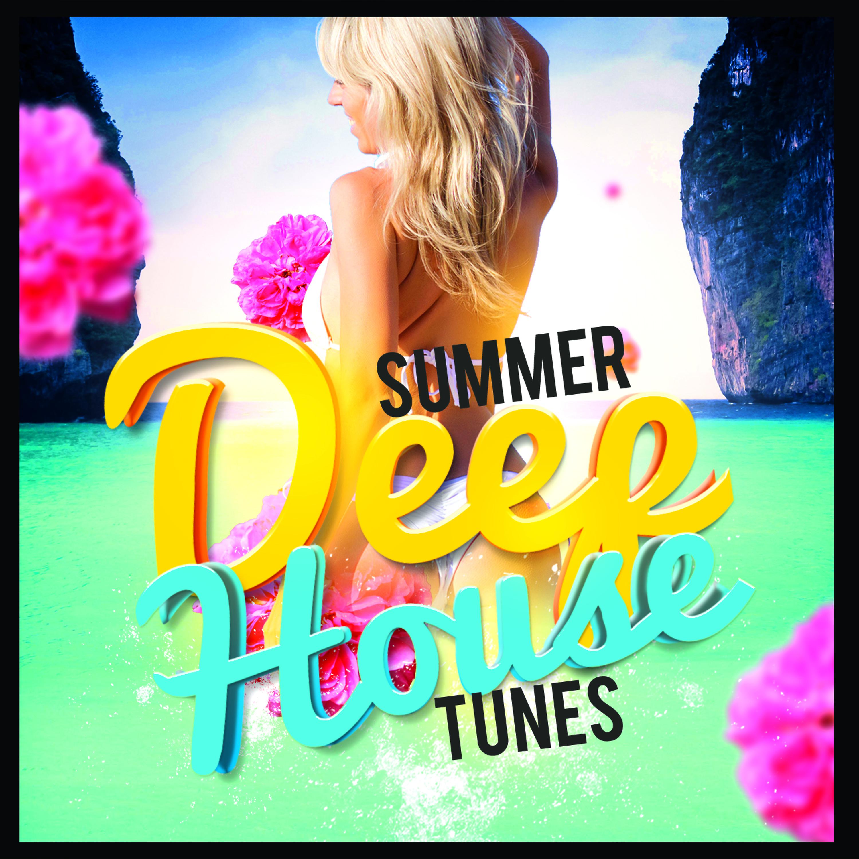 Постер альбома Summer Deep House Tunes