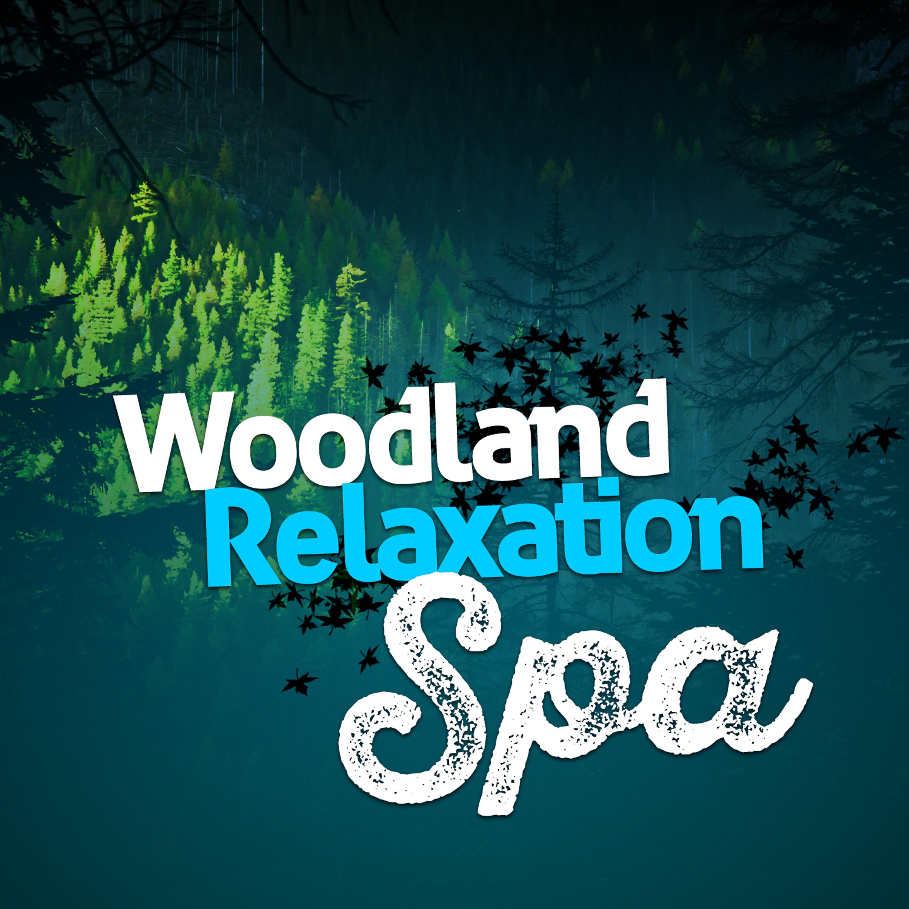 Forest Sounds Relaxing Spa Music Singing Birds - Calm Waterfront