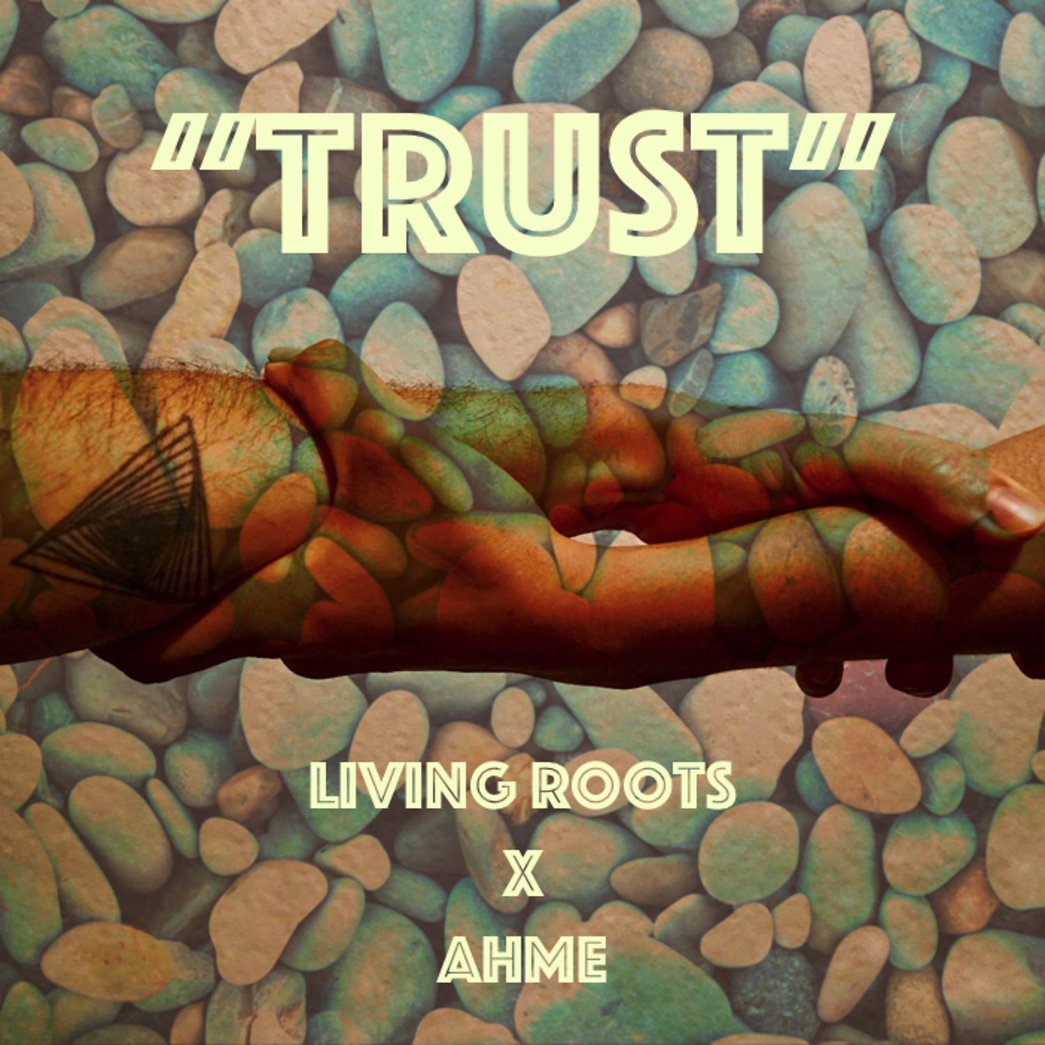 Постер альбома Trust (feat. AHME)