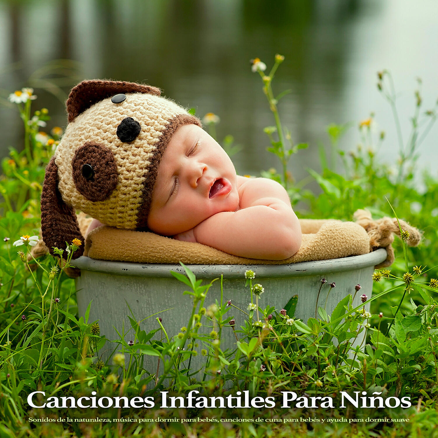 Canciones Infantiles Para Niños - Canciones de cuna para bebés