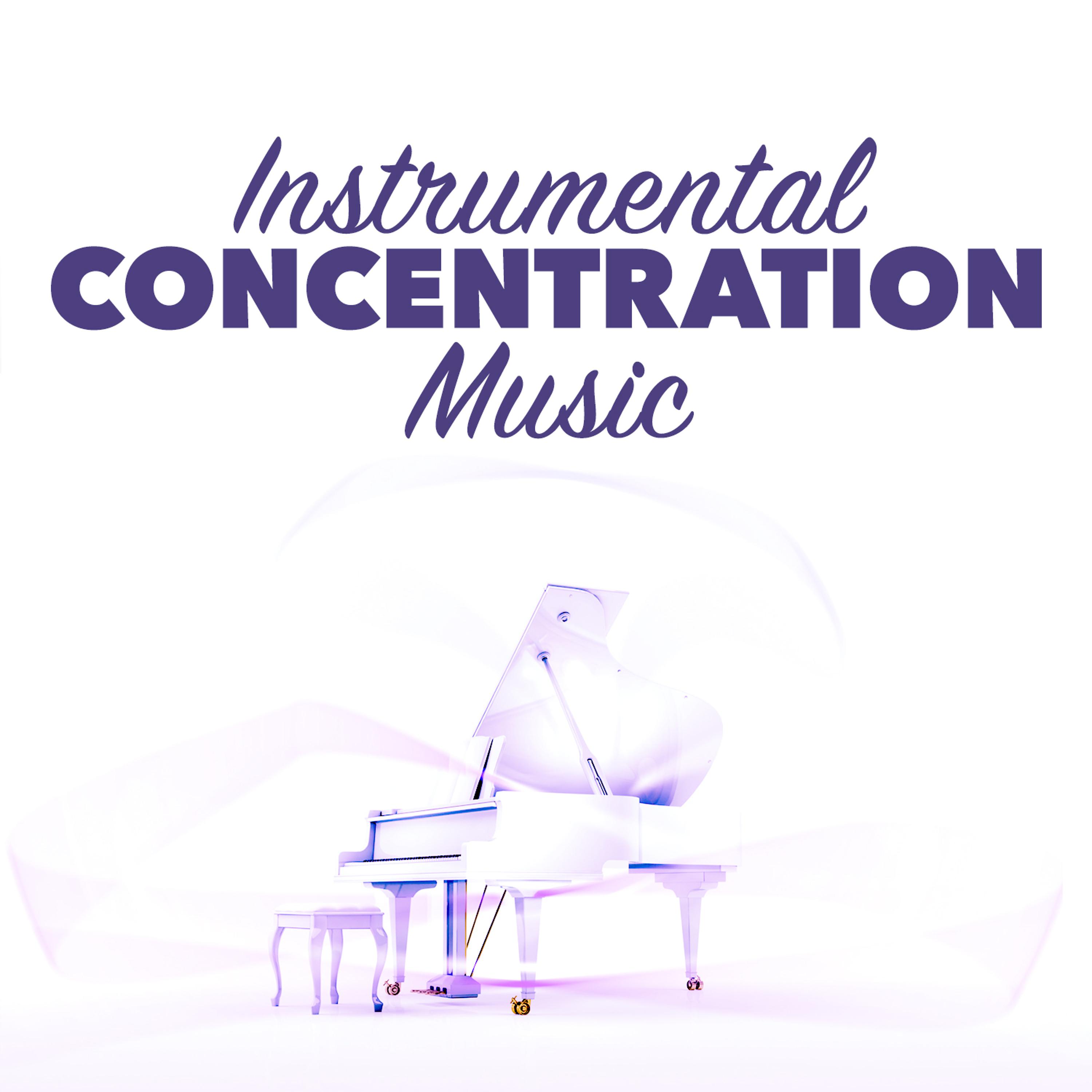 Постер альбома Instrumental Concentration Music