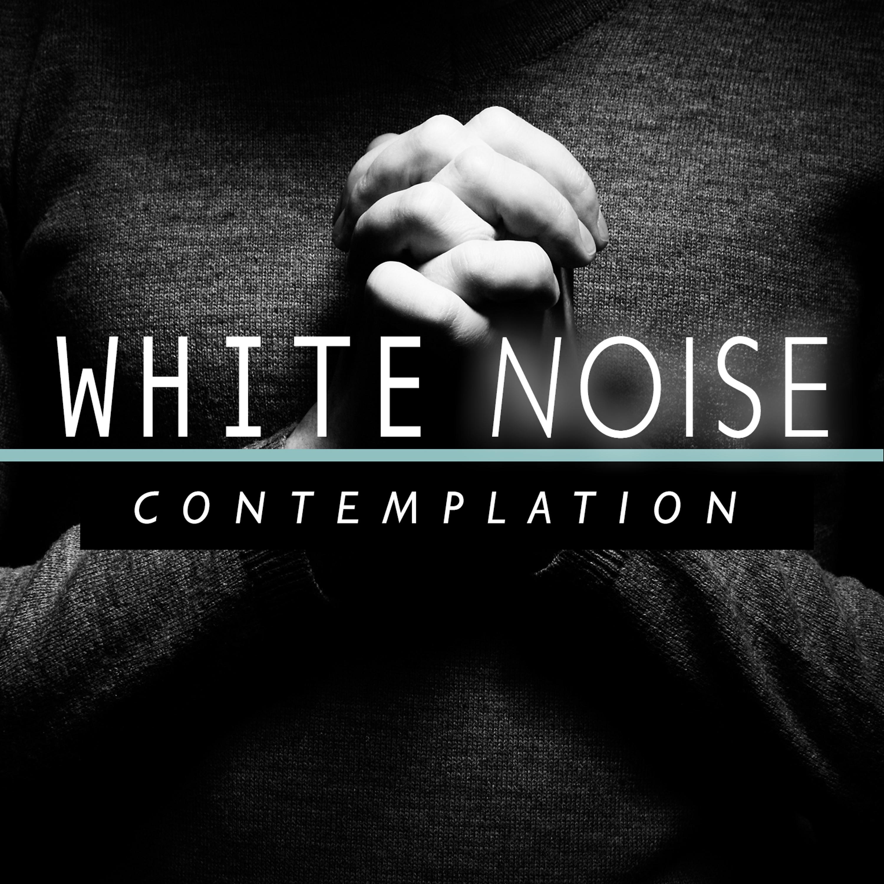 Постер альбома White Noise: Contemplation