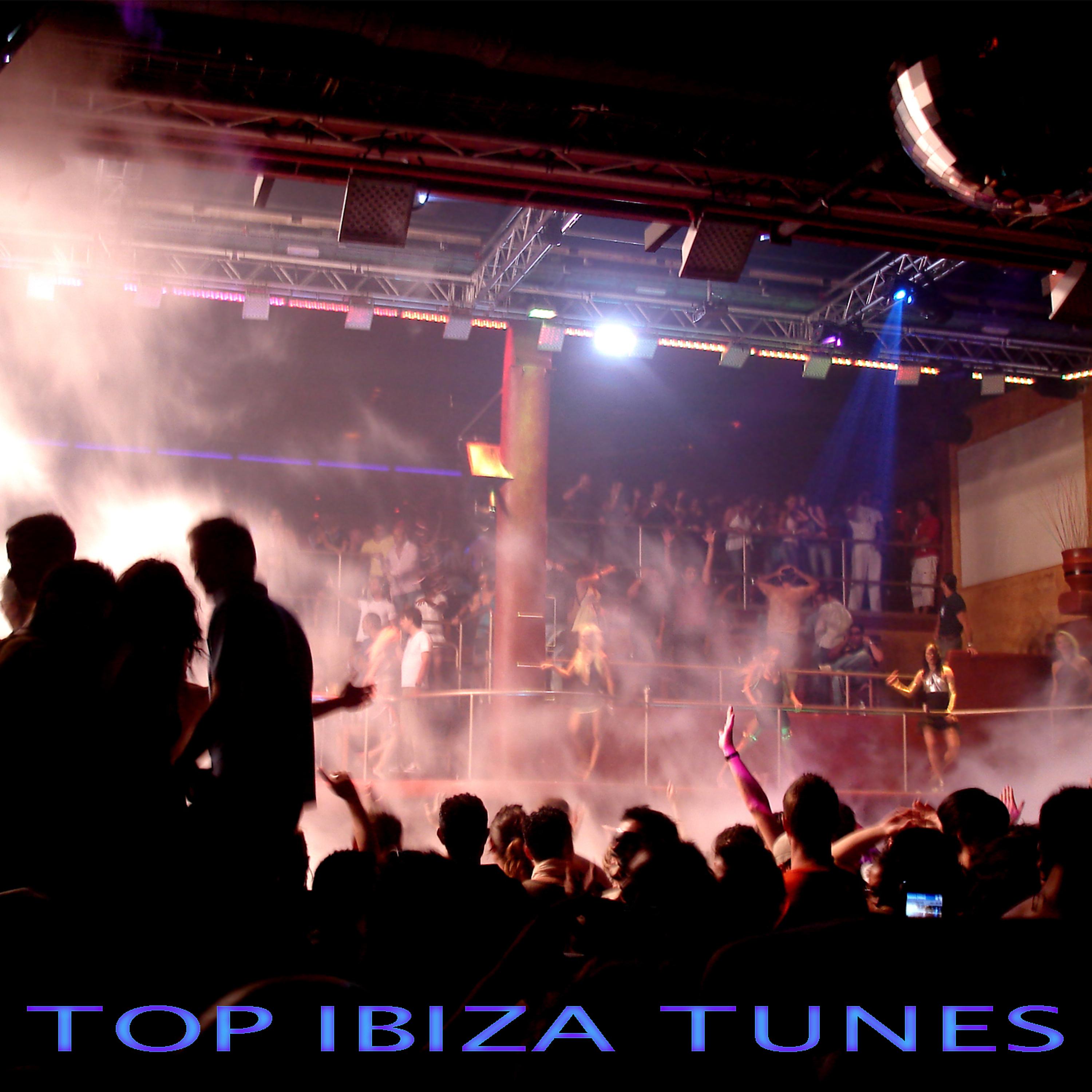 Постер альбома Top Ibiza Tunes