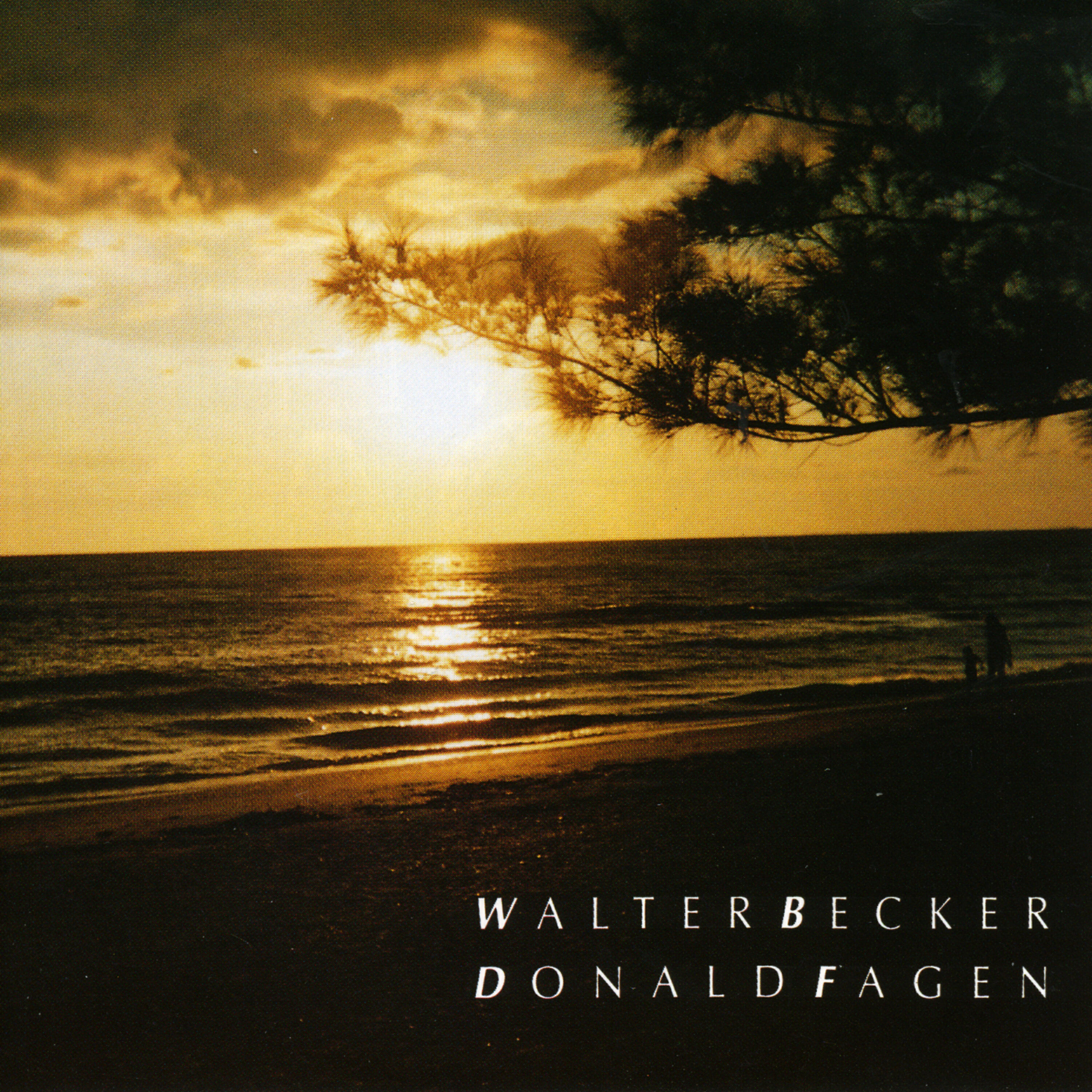 Walter Becker - Caves Of Altamira
