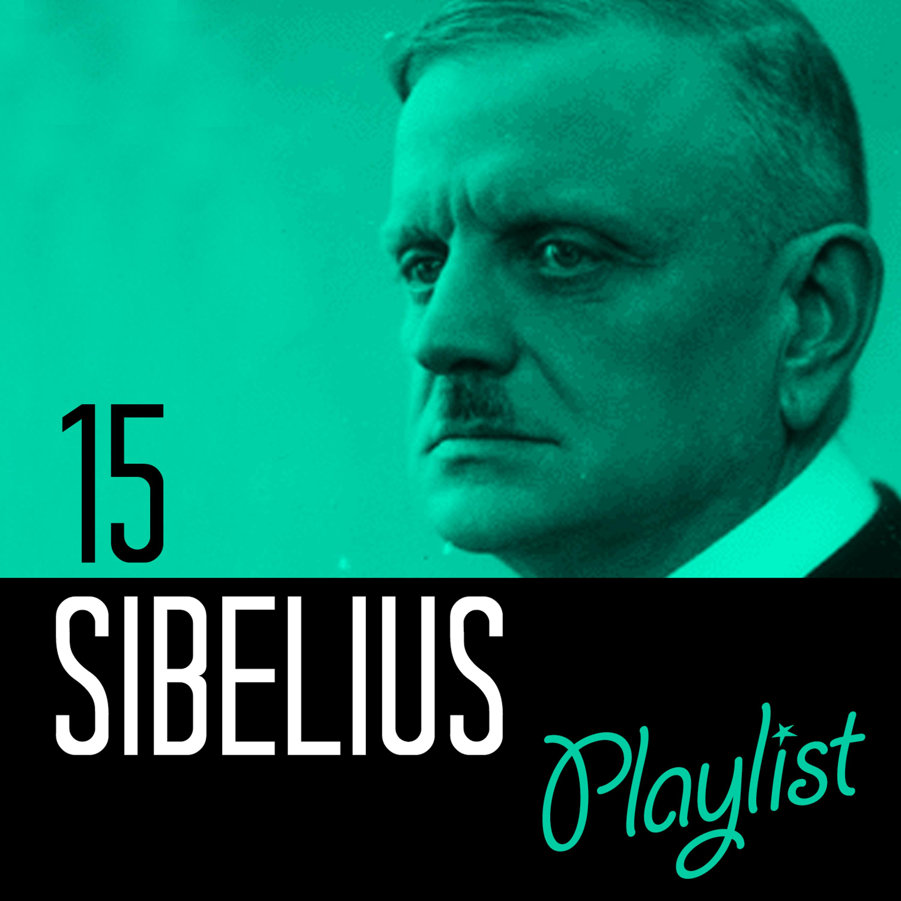 Постер альбома 15 Sibelius Playlist