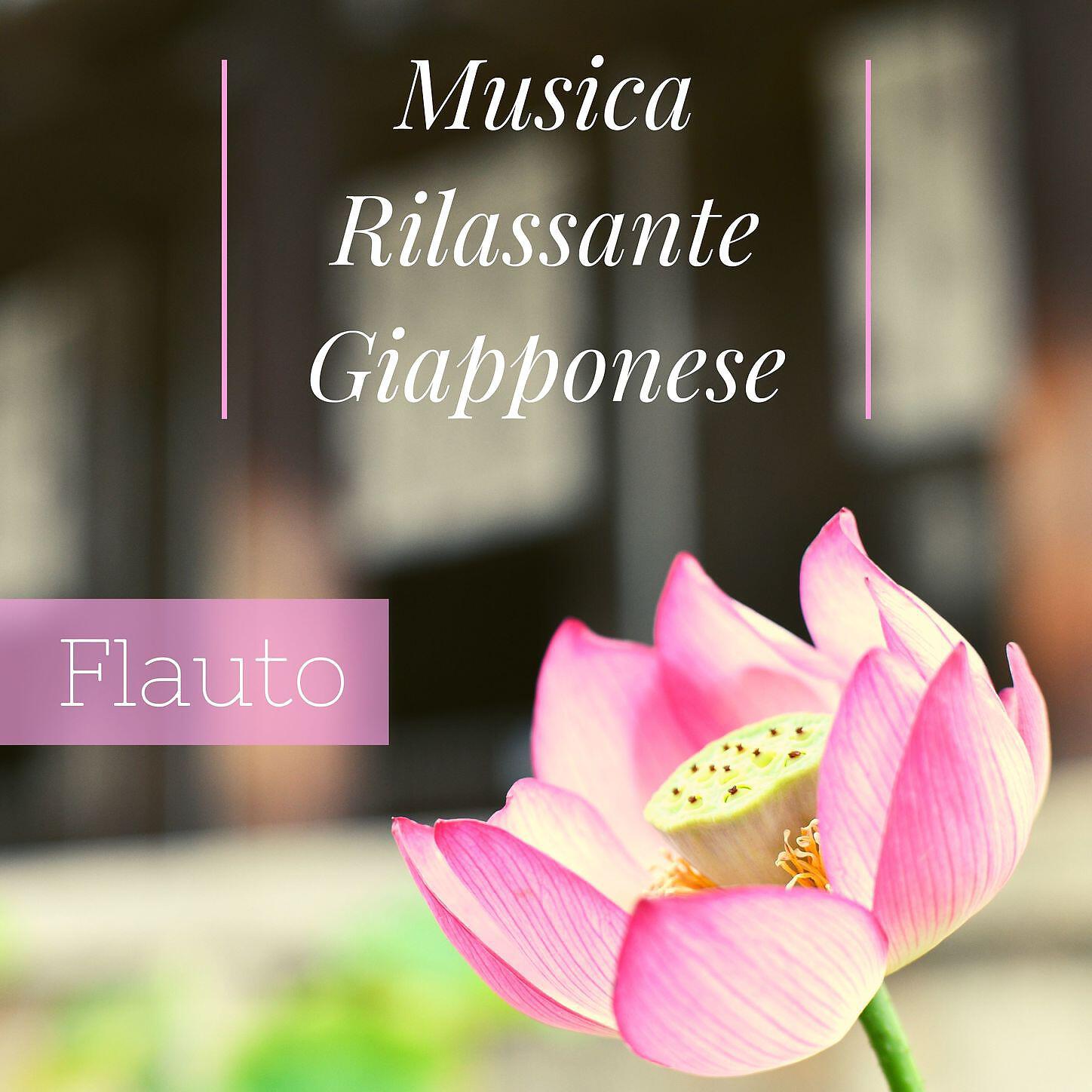 Musica Asiatica Relax - Atmosfera di tranquillità