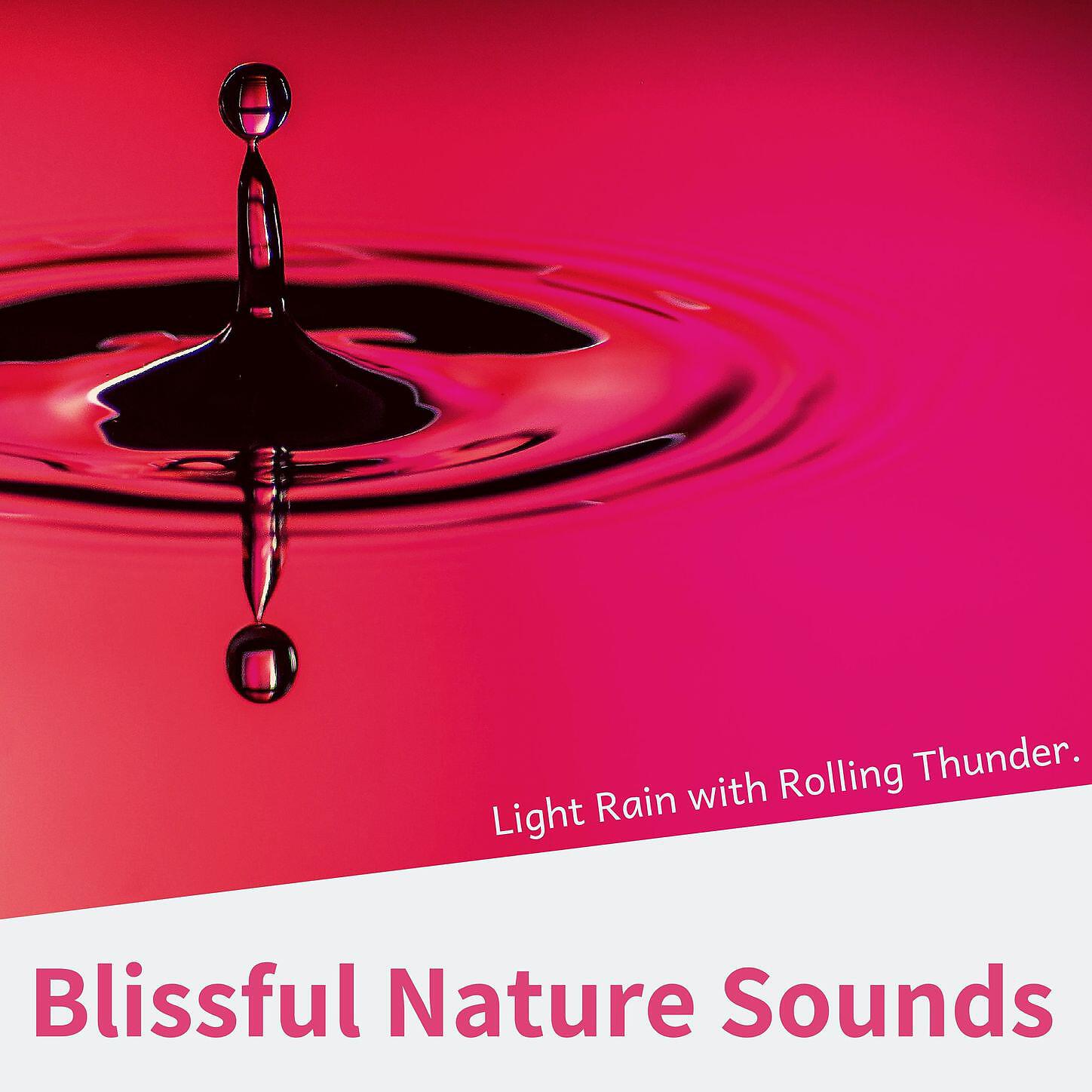 Nature Sounds Radio,Mind Relaxing - It's Natural