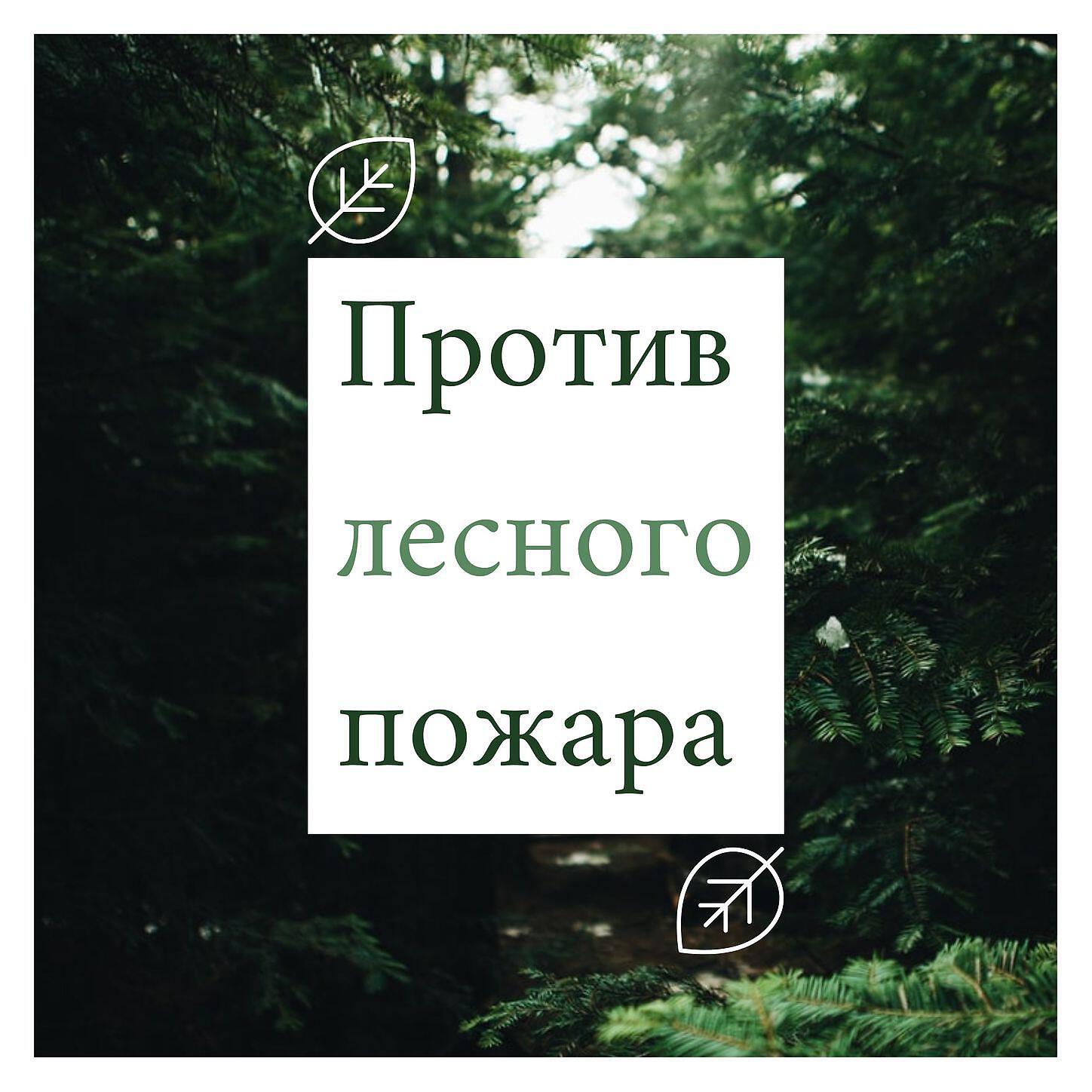 Эко песни