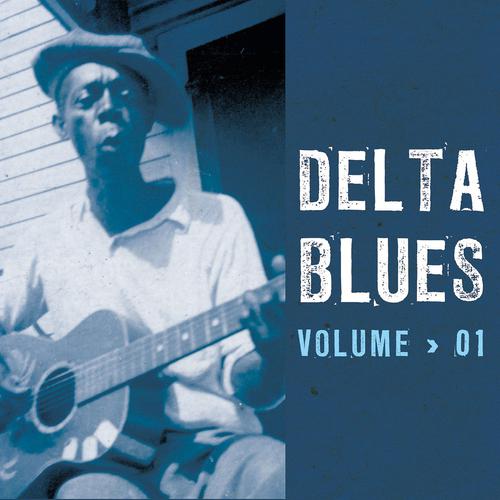 Постер альбома Delta Blues, Vol. 1