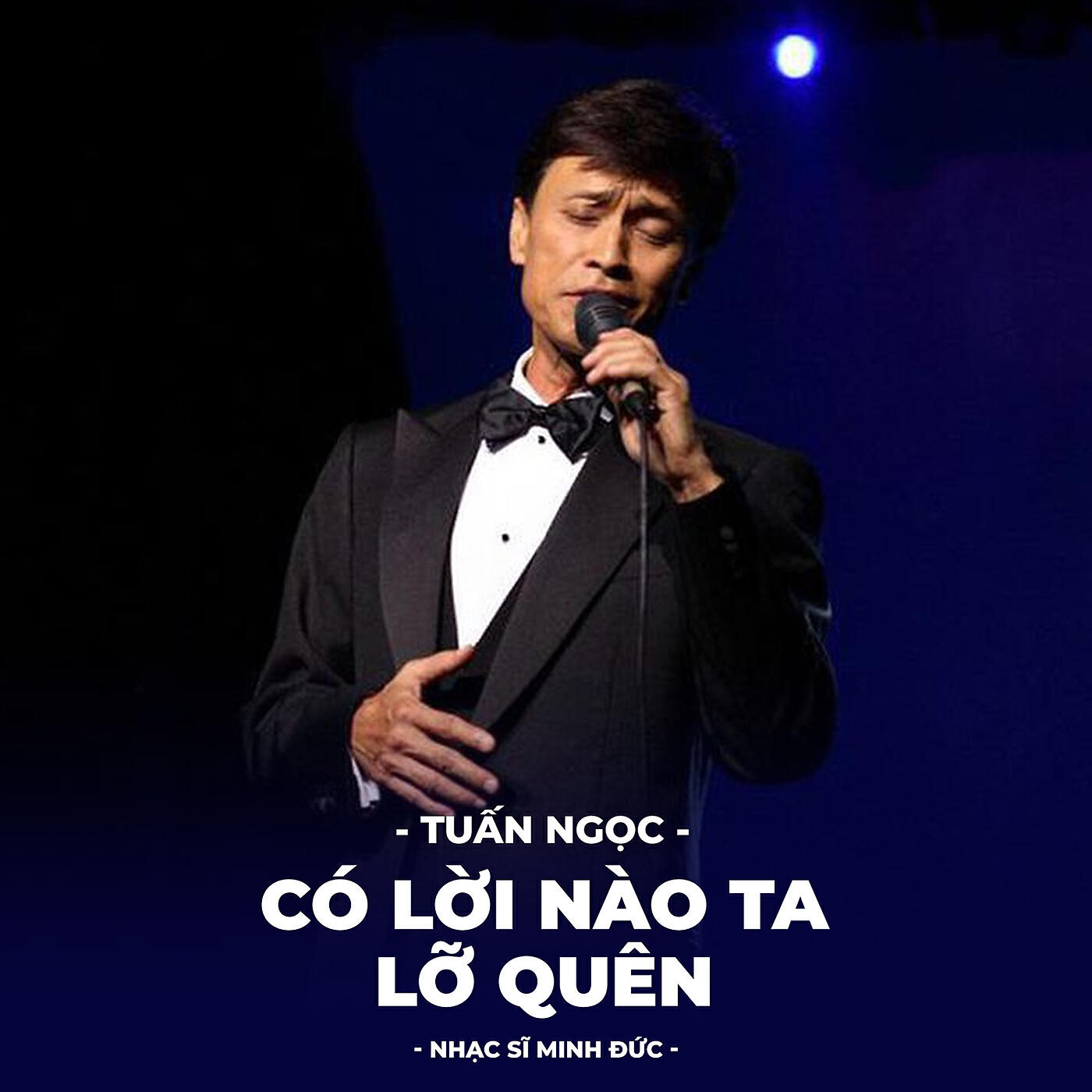 Tuan Ngoc - Any Words We Missed