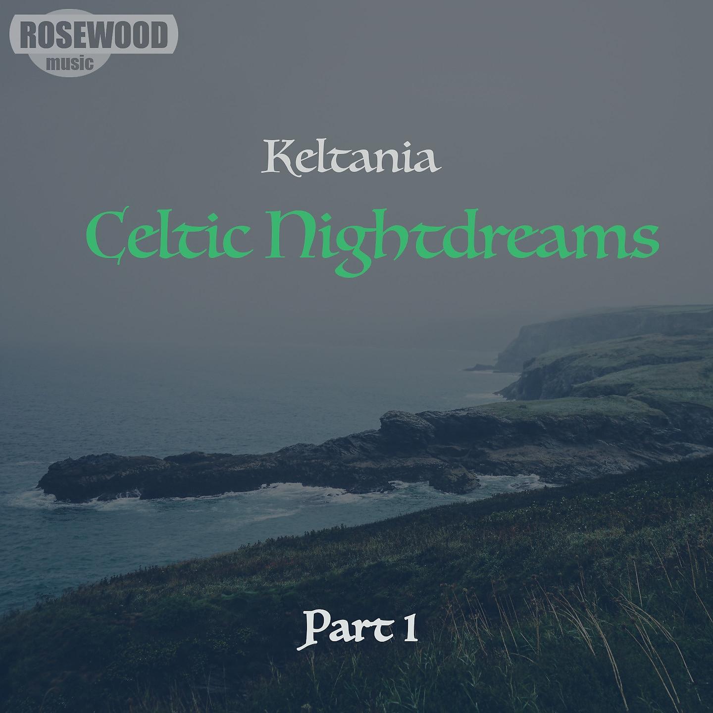 Постер альбома Celtic Nightdreams