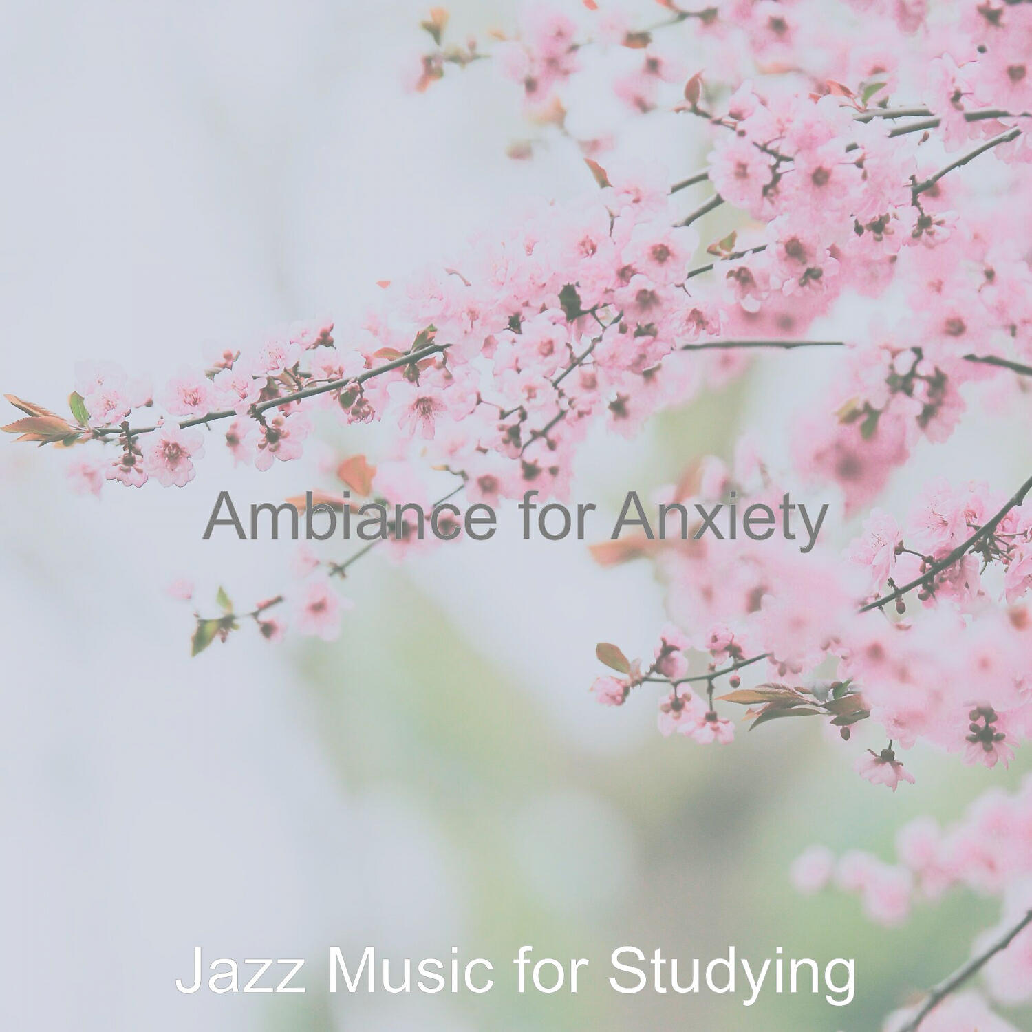 Jazz Music for Studying - Mind-blowing Mood for Stress Relief