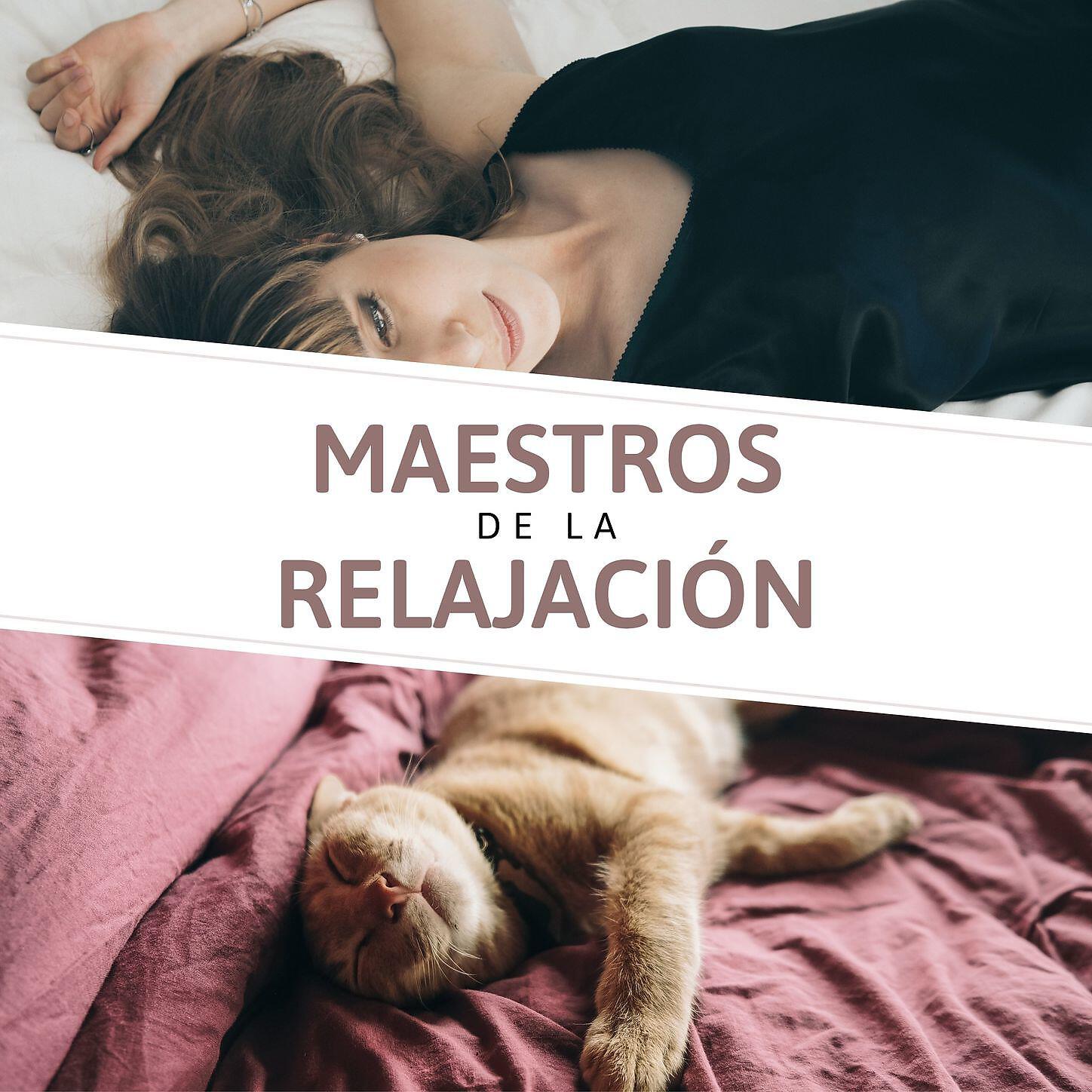 Relajacion Ariel - Pensamiento Positivo