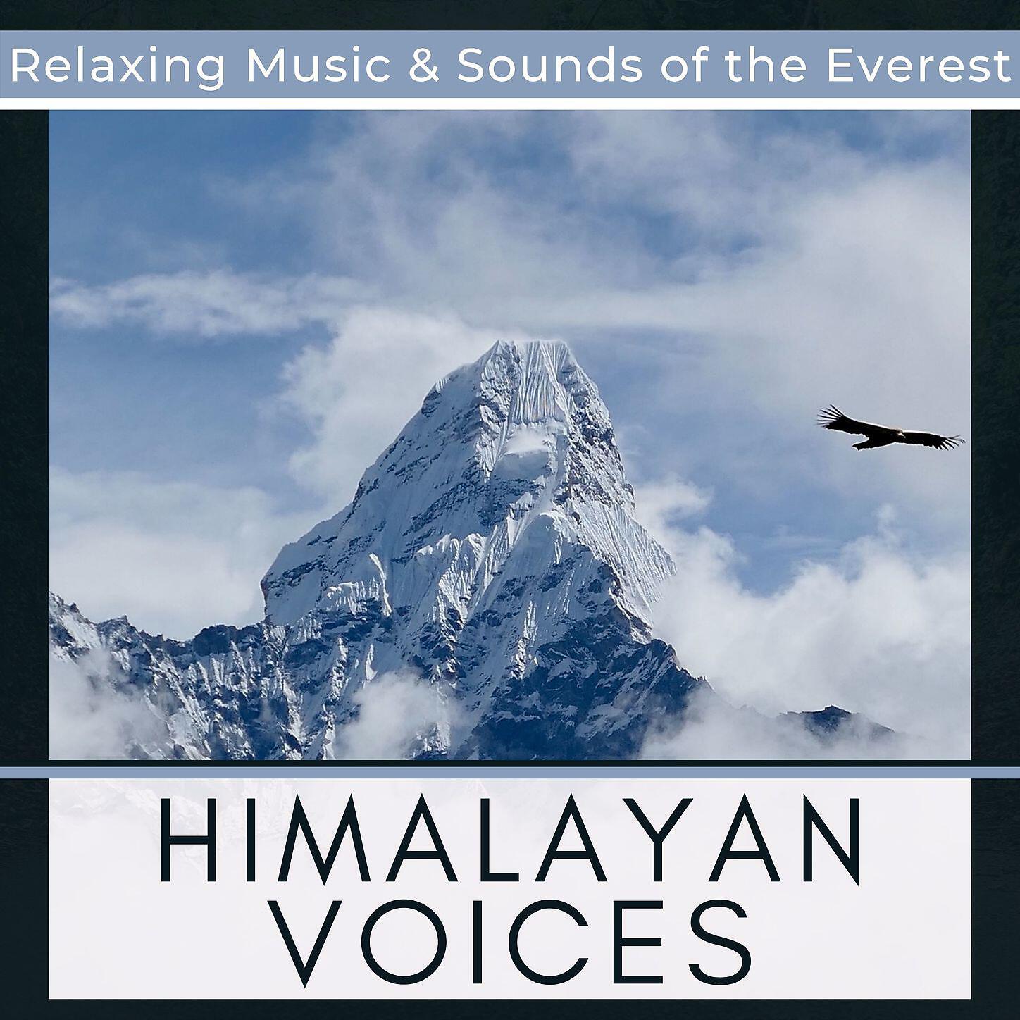 Everest Minority - Footage of the Himalayas