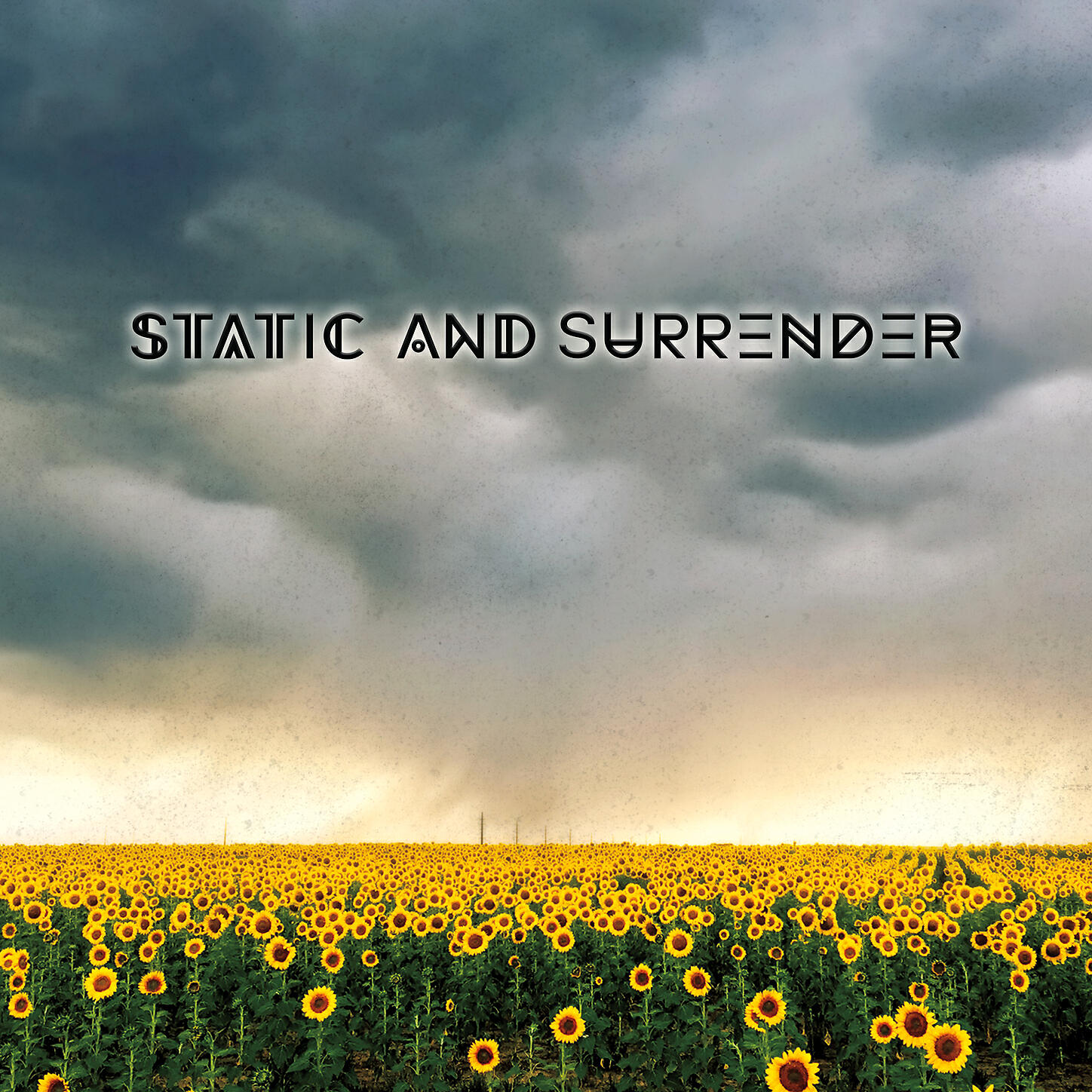 Static and Surrender - Mary Shelley