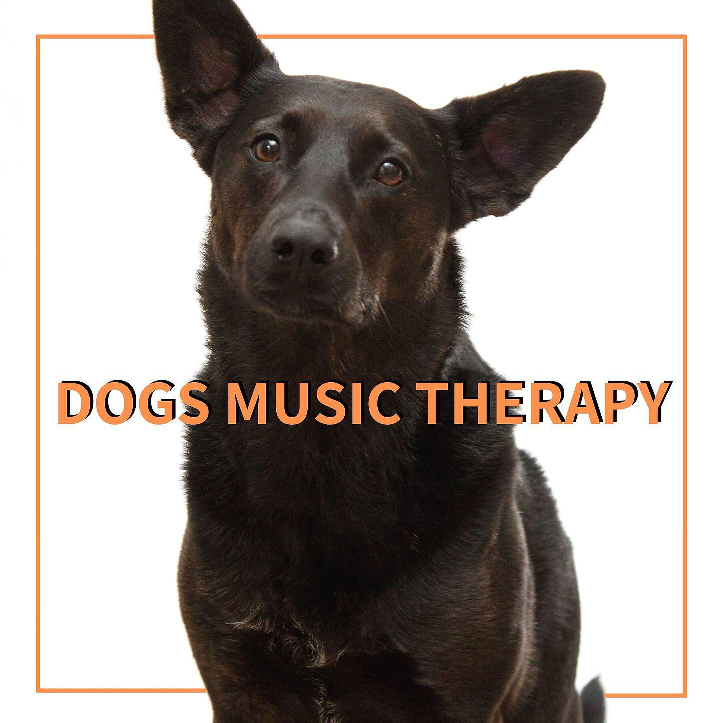 Dog Music - Natural Space