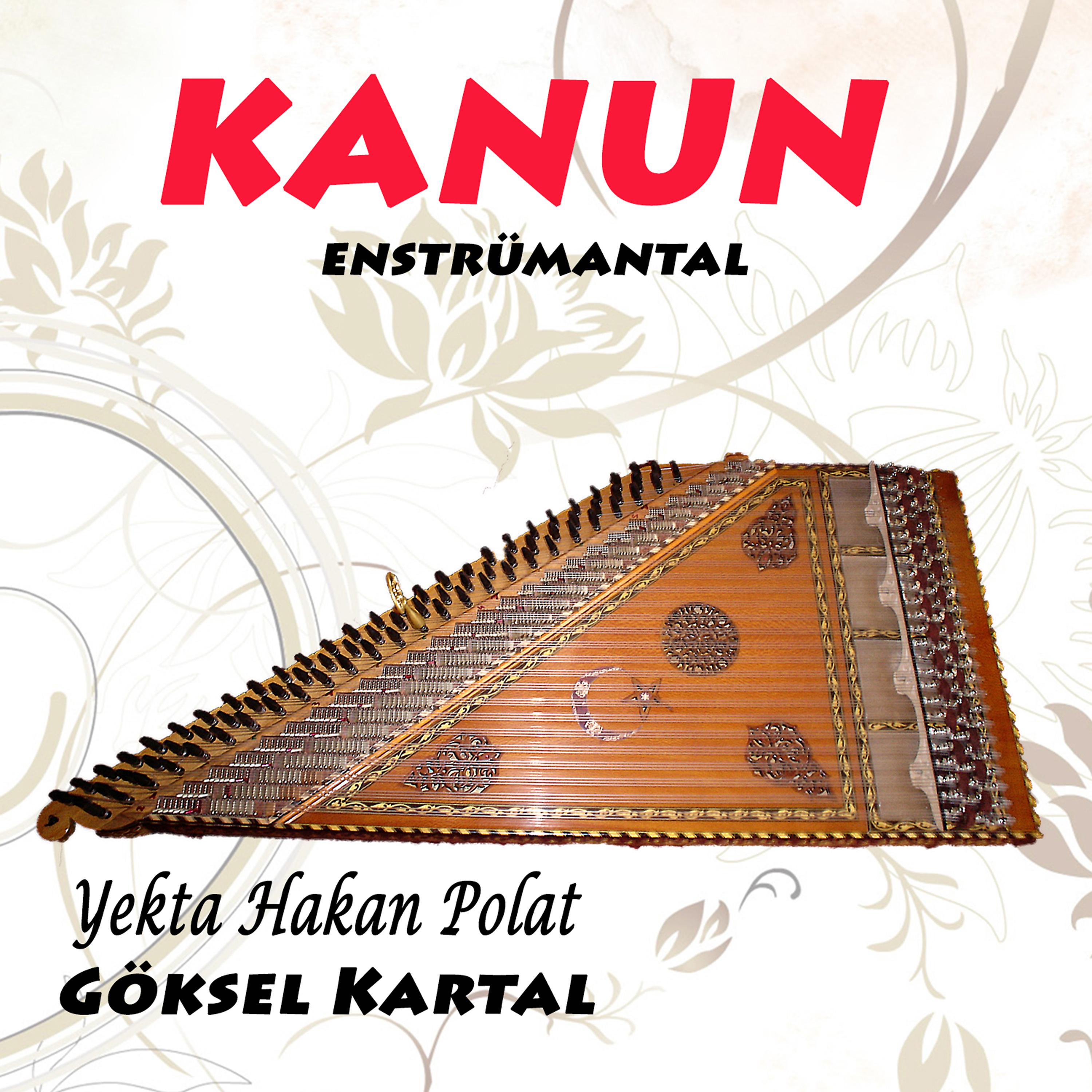 Göksel Kartal - Hicaz Taksim (Kanun)