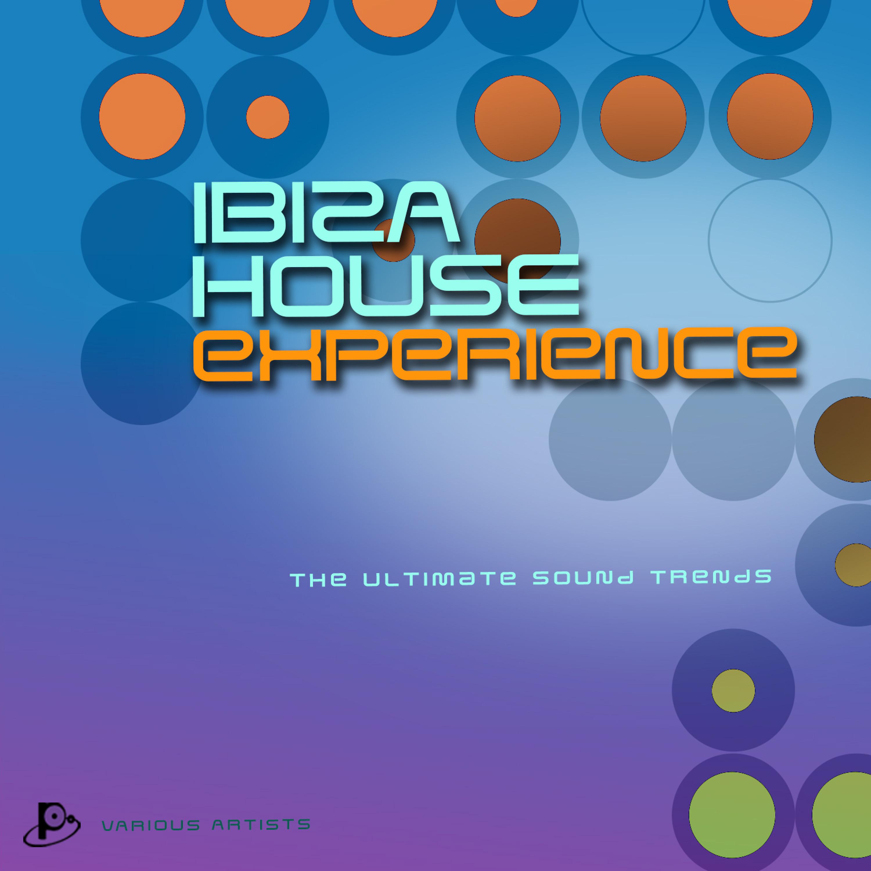 Постер альбома Ibiza House Experience (The Ultimate Sound Trends)