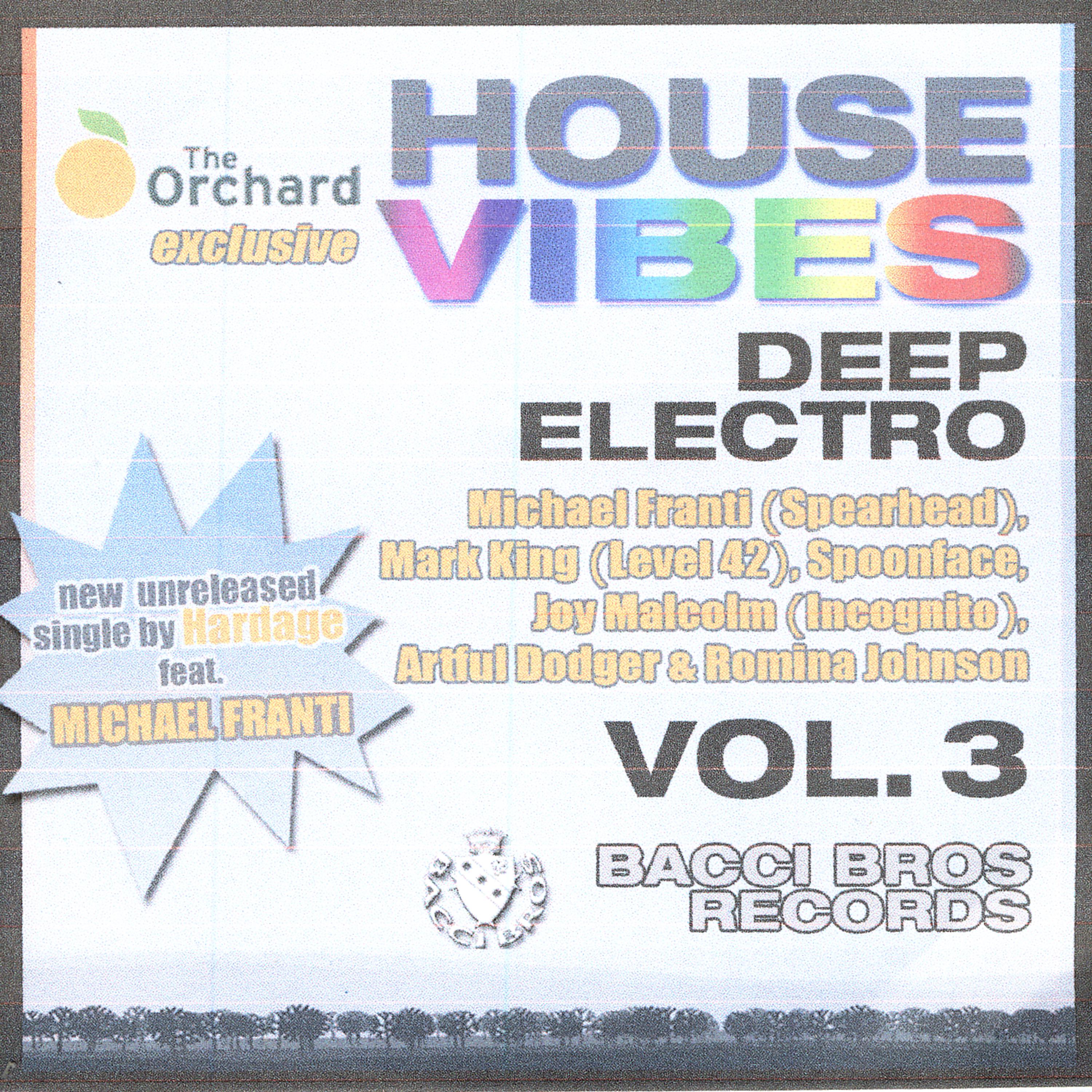 Постер альбома House Vibes - Deep Electro, Vol. 3